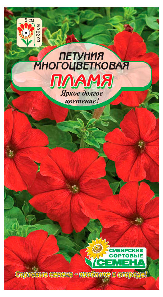 

Семена Сибирские сортовые семена Петуния многоцветковая Пламя, 0,05 г