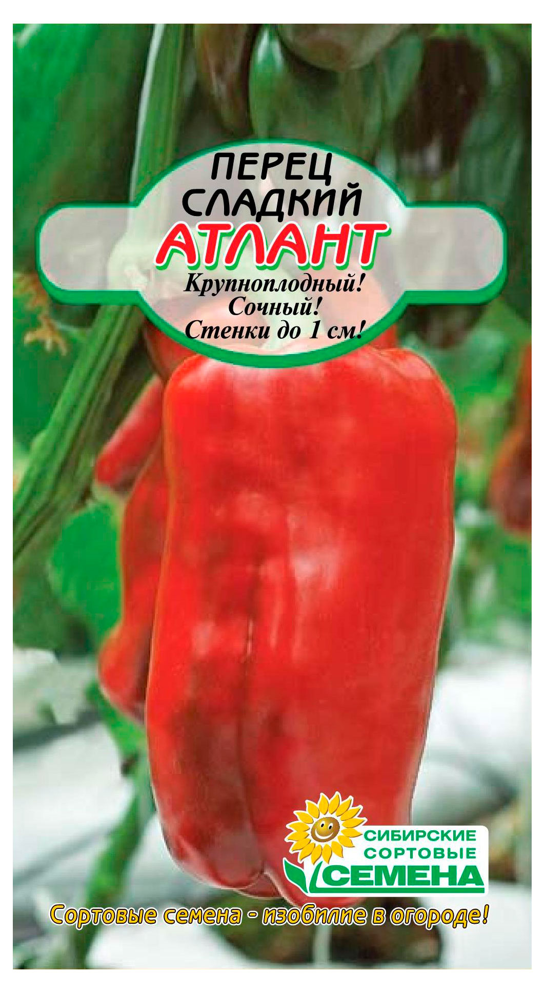 Изображение товара Семена «Сибирские сортовые семена» Перец сладкий Атлант, 20 шт