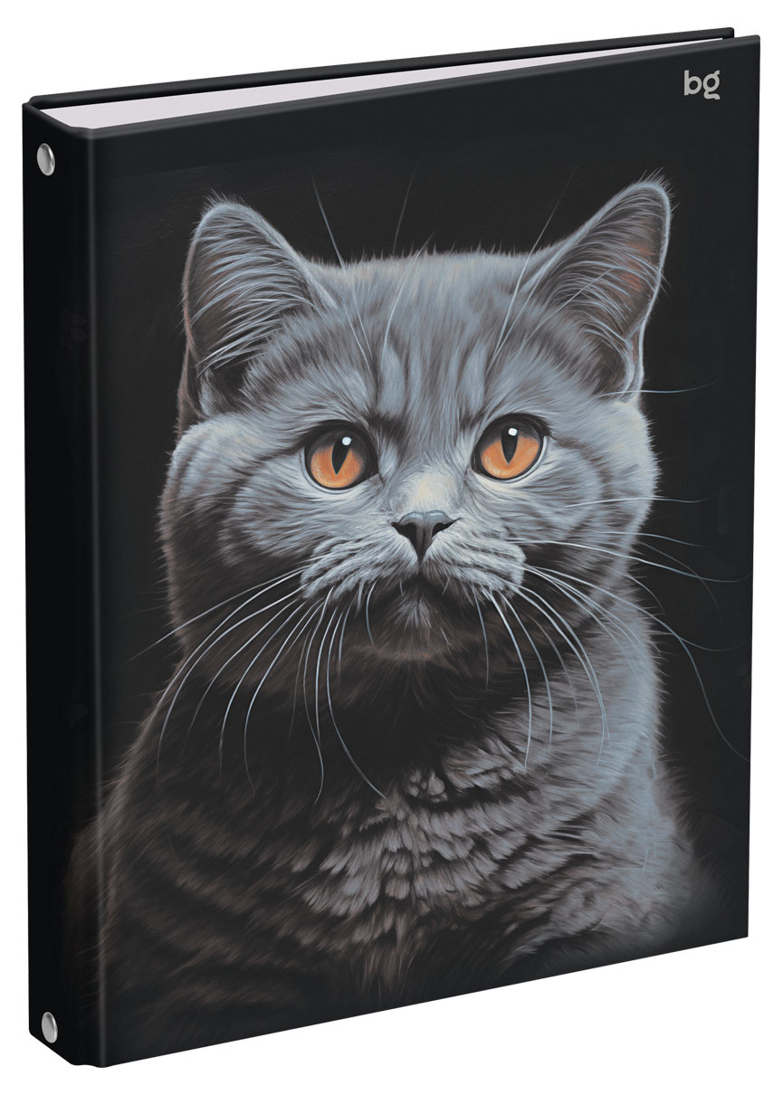 

Тетрадь BG Кот А5 на кольцах в клетку, 160 л