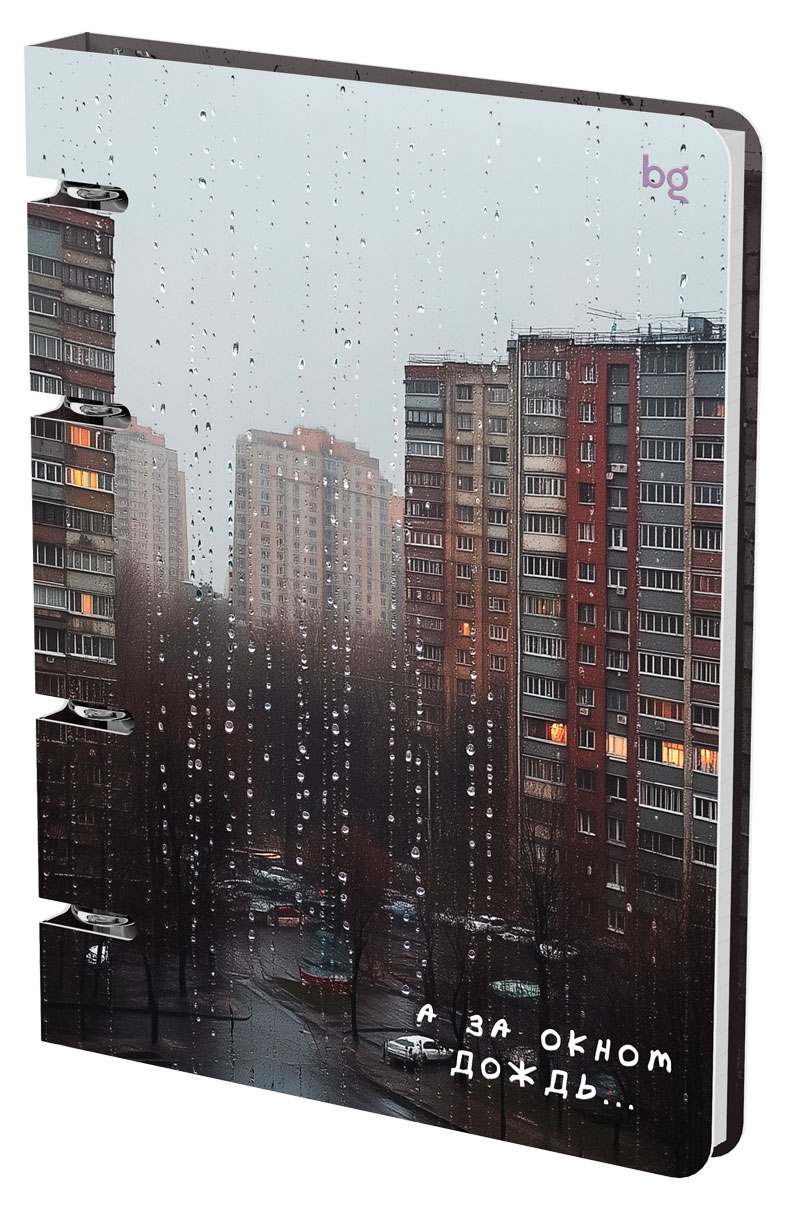 

Тетрадь BG За окном А5 на кольцах в клетку, 120 л
