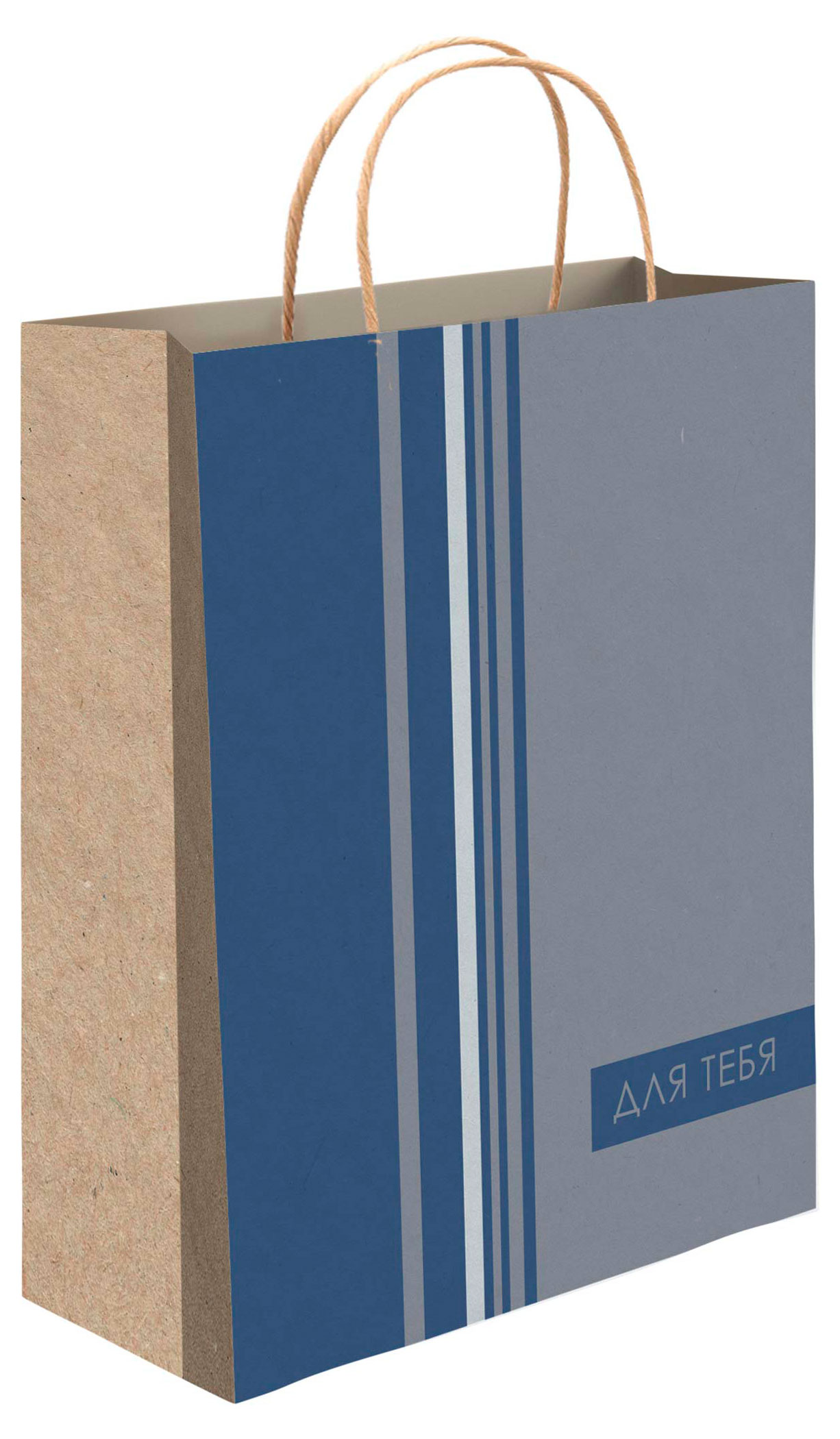 

Пакет подарочный Акценты глянцевый, 18х23 см