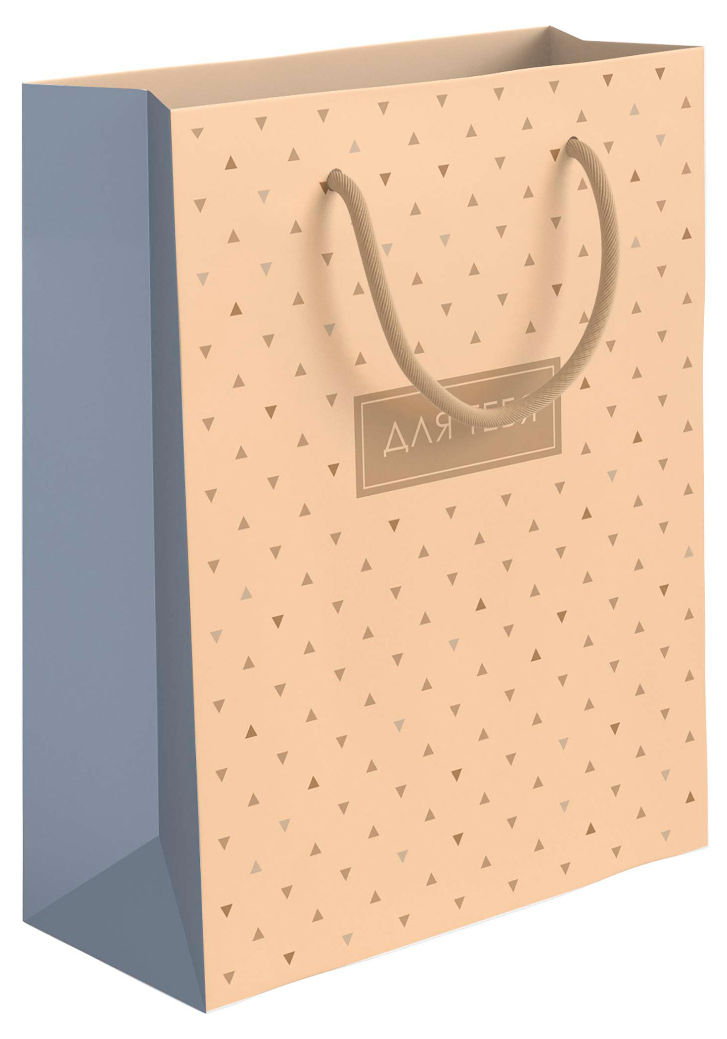 Изображение товара Пакет подарочный Акценты крафт, 18х23 см