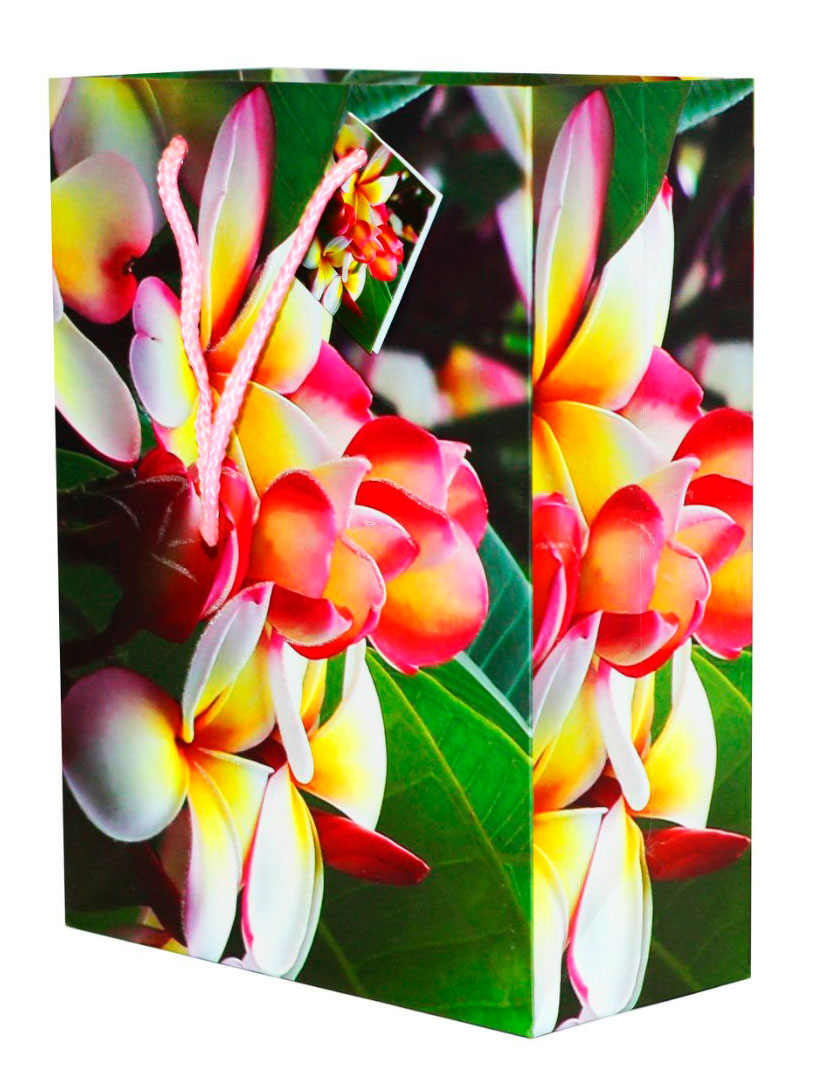 

Пакет подарочный ArteNuevo 33х46х10 см, 1 шт в ассортименте