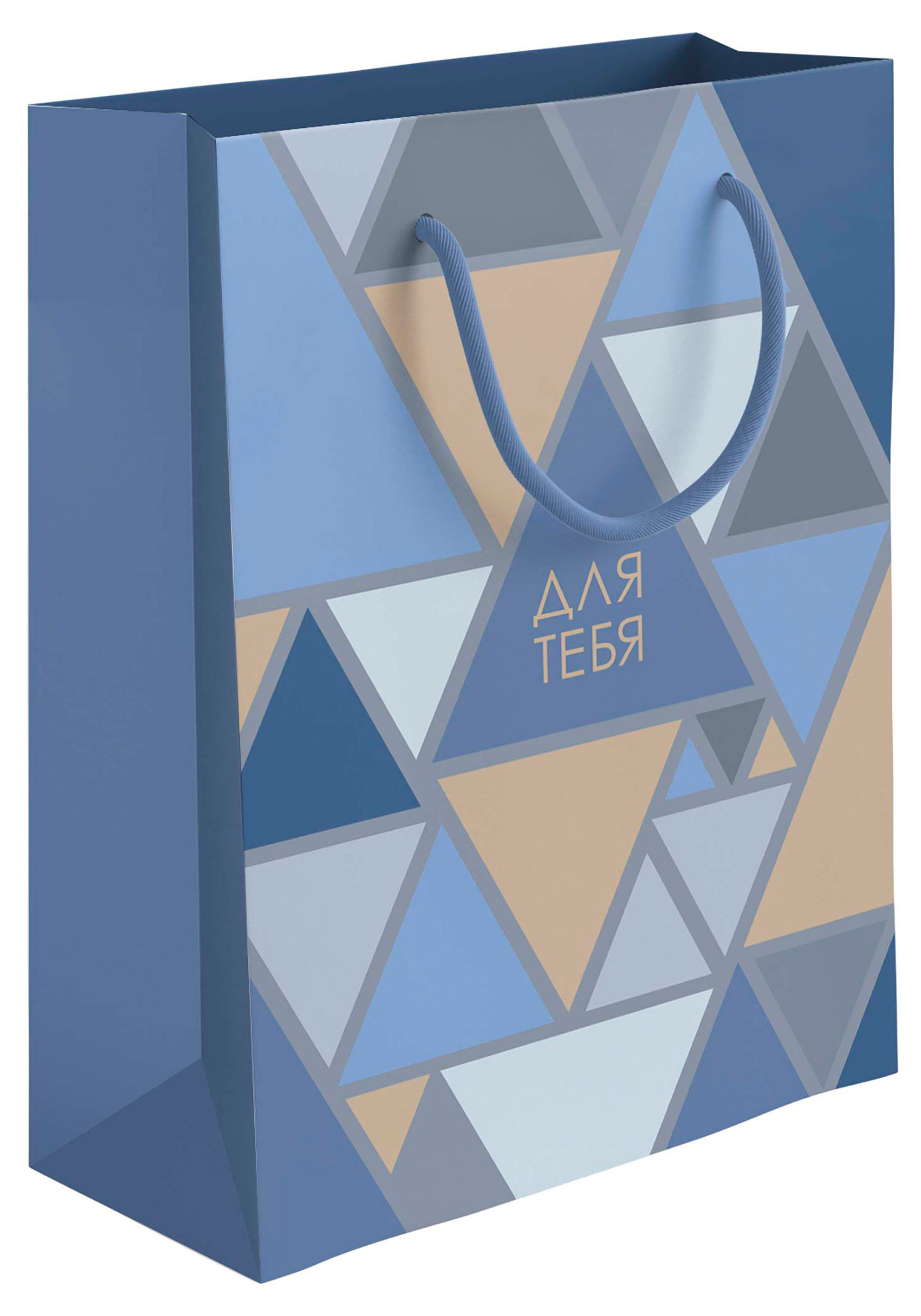 Изображение товара Подарочный пакет Акценты глянцевый 20х24 см стильная упаковка для подарка