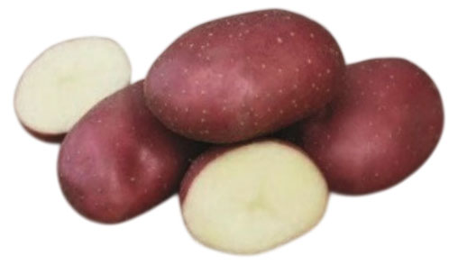 

Картофель семенной СеДеК Маяк, 2 кг