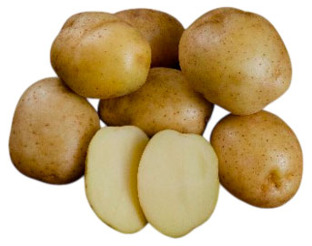 Изображение товара Картофель семенной «СеДеК» Триумф, 2 кг