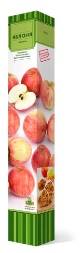 Изображение товара Саженцы «Поиск» Яблоня, 1 шт