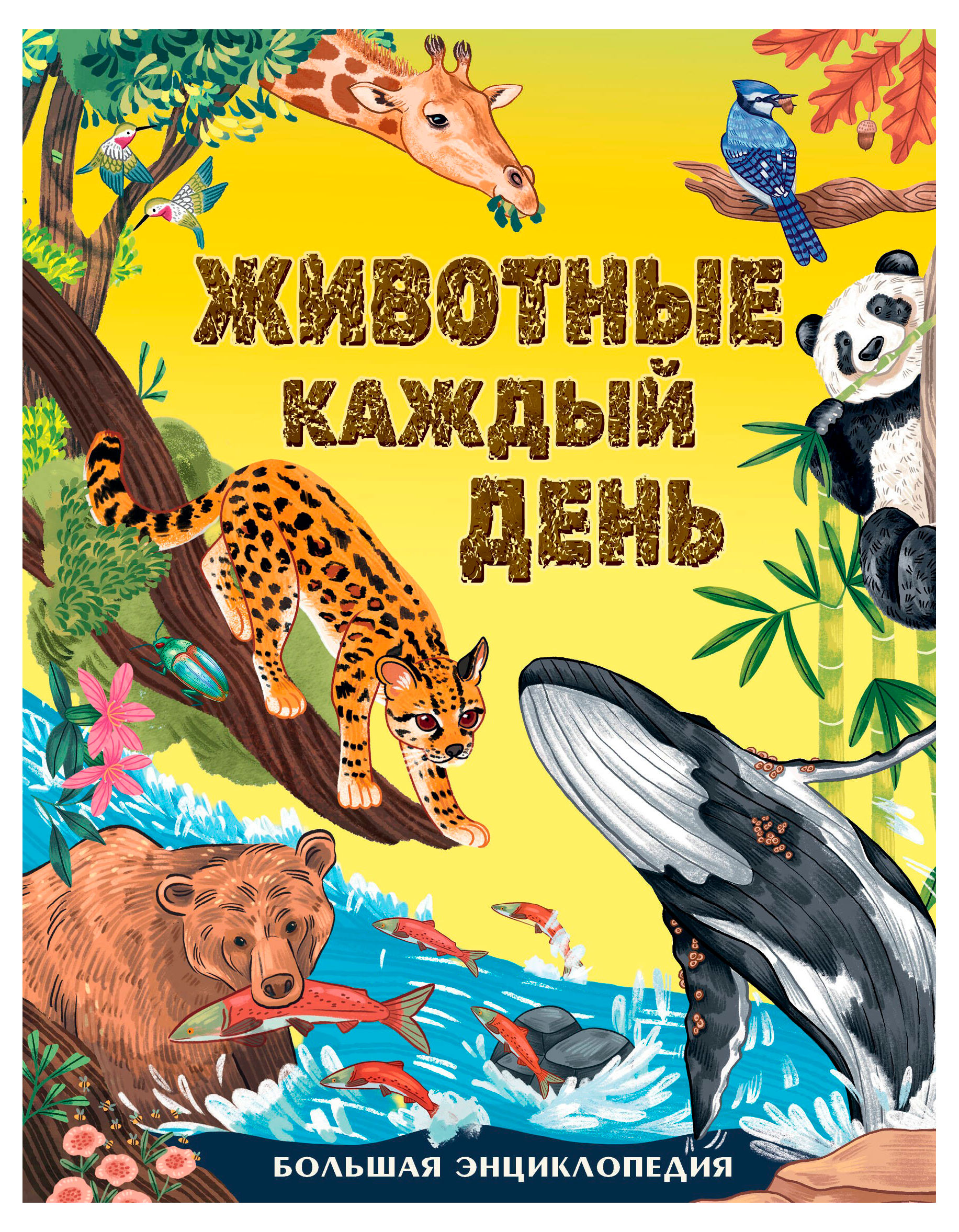 Изображение товара Животные каждый день Большая энциклопедия М Смит АСТ 2025 твердая 224 стр