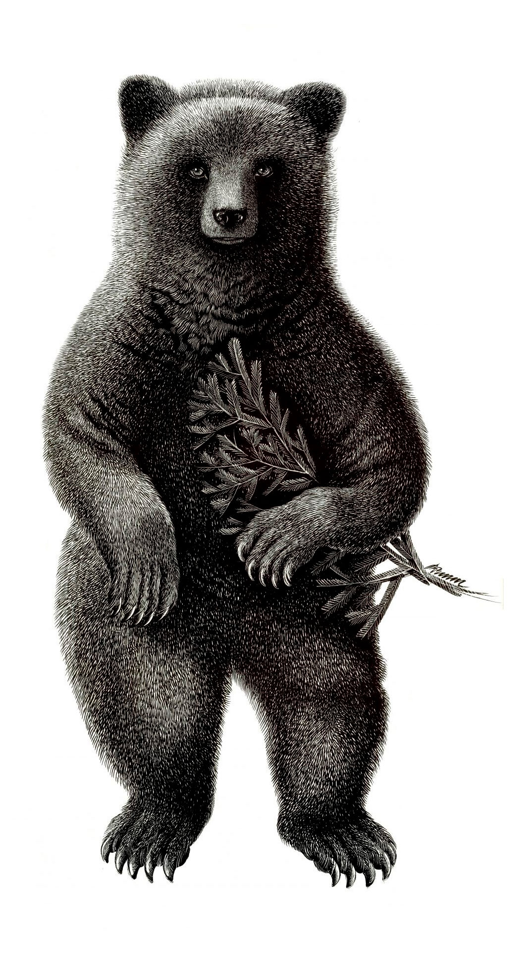 

Постер Даринчи с белым паспарту 30х40 см, 1 шт в ассортмиенте