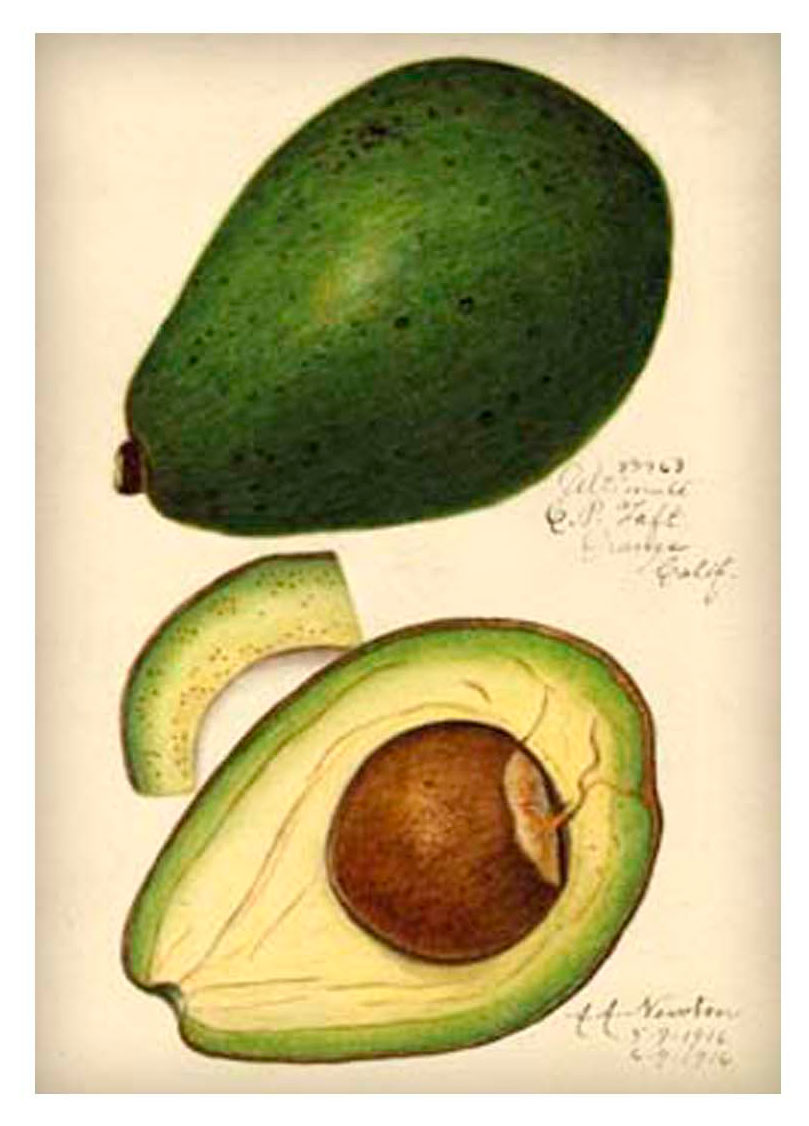 

Постер Даринчи А4 на картоне с паспарту, 1 шт в ассортмиенте