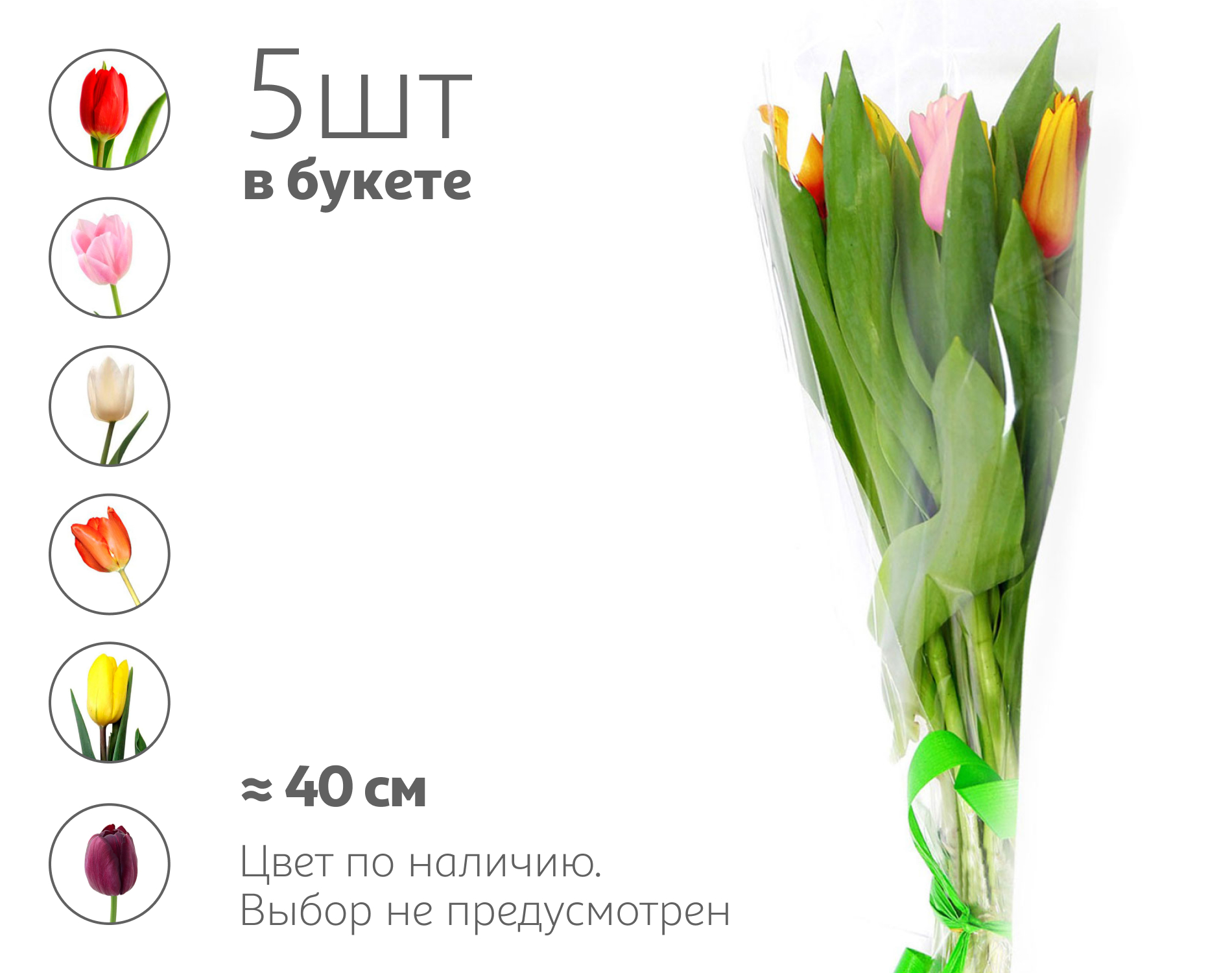 

Букет живых срезанных цветов из 5 тюльпанов в упаковке в ассортименте h 40 см, 1 шт