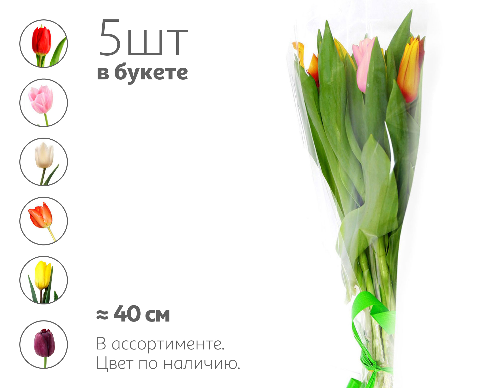 

Букет живых срезанных цветов из 5 тюльпанов в упаковке в ассортименте h 40 см, 1 шт