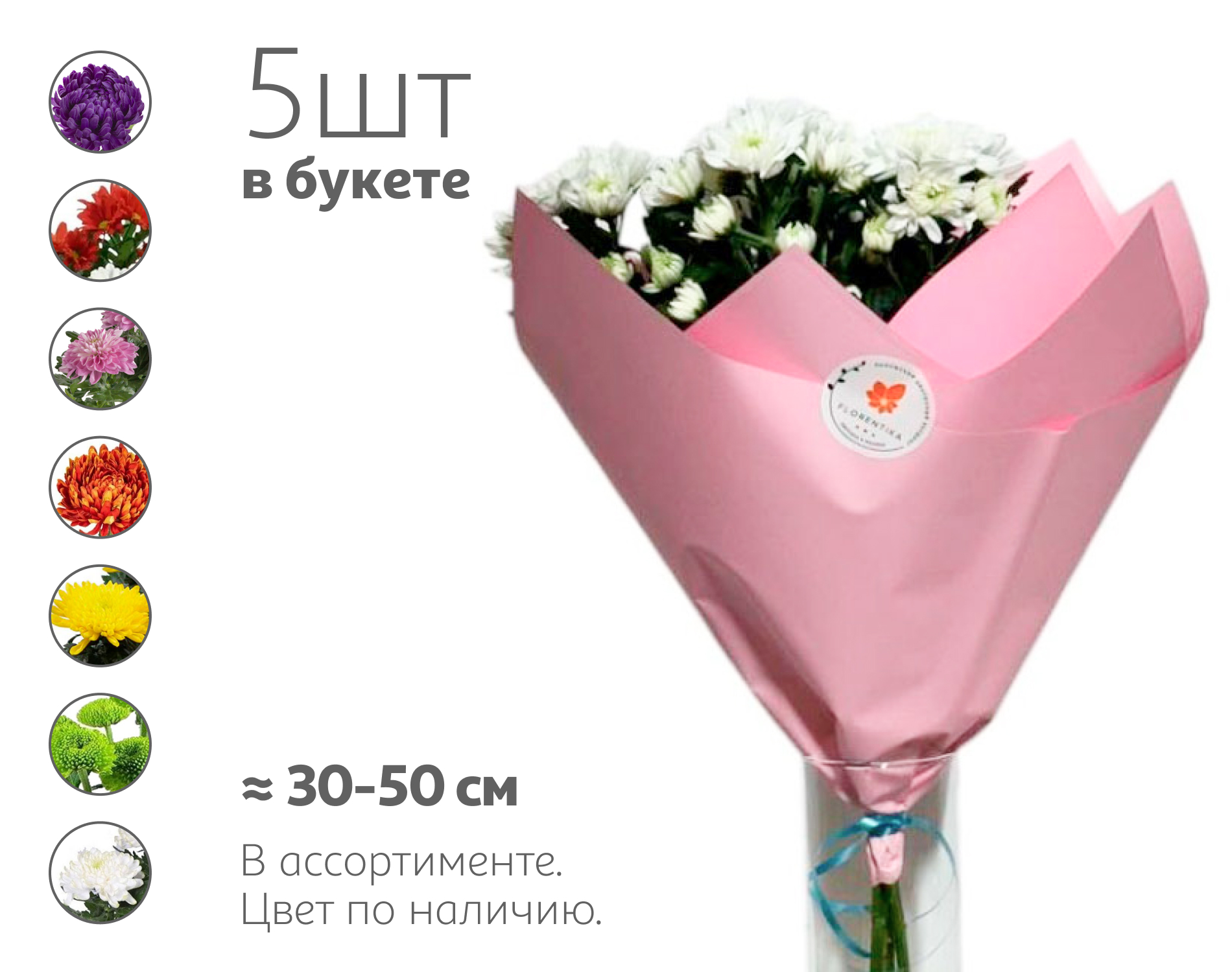 

Букет живых срезанных цветов 23 Воздушный из 5 хризантем в упаковке в ассортименте с ароматом, 1 шт