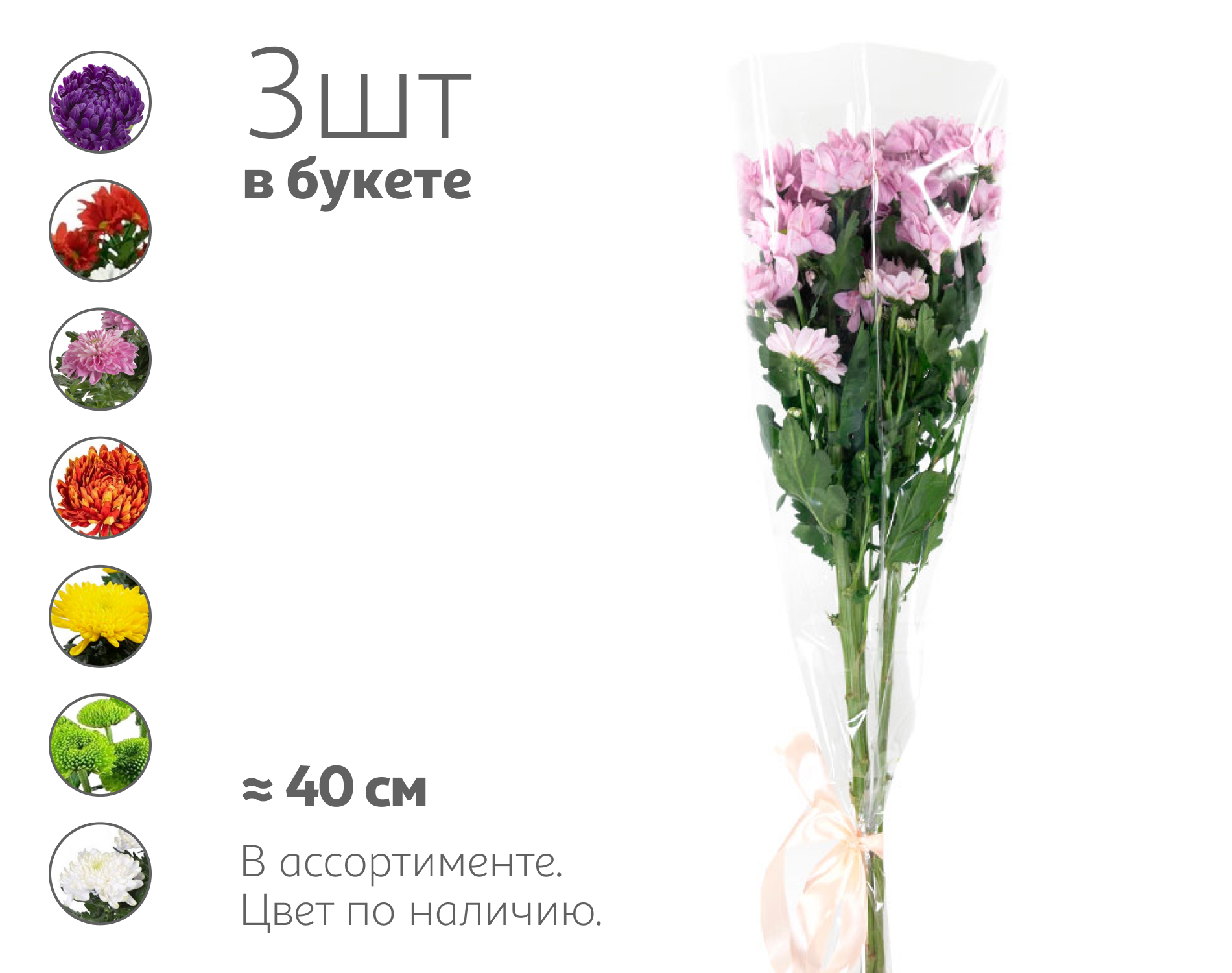 

Букет живых срезанных цветов из 3 хризантем в упаковке в ассортименте h 40 см, 1 шт