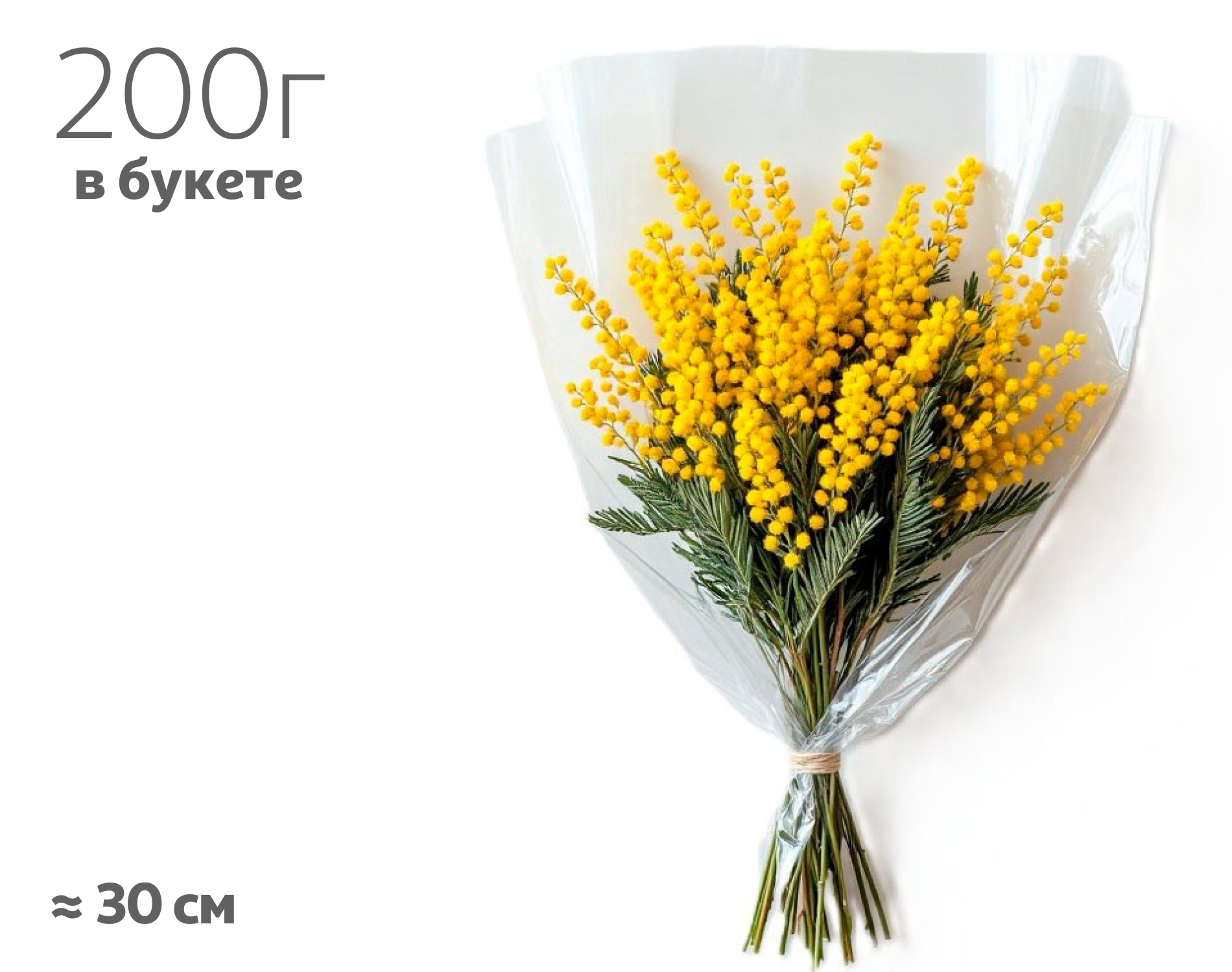 

Букет живых срезанных цветов Монобукет Мимоза, 200 г