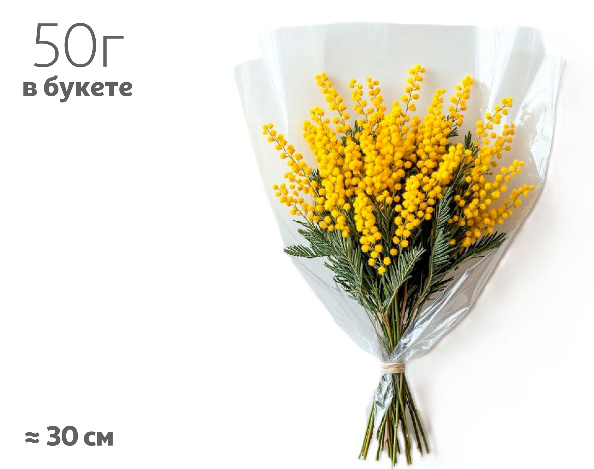 

Букет живых срезанных цветов Монобукет Мимоза, 50 г