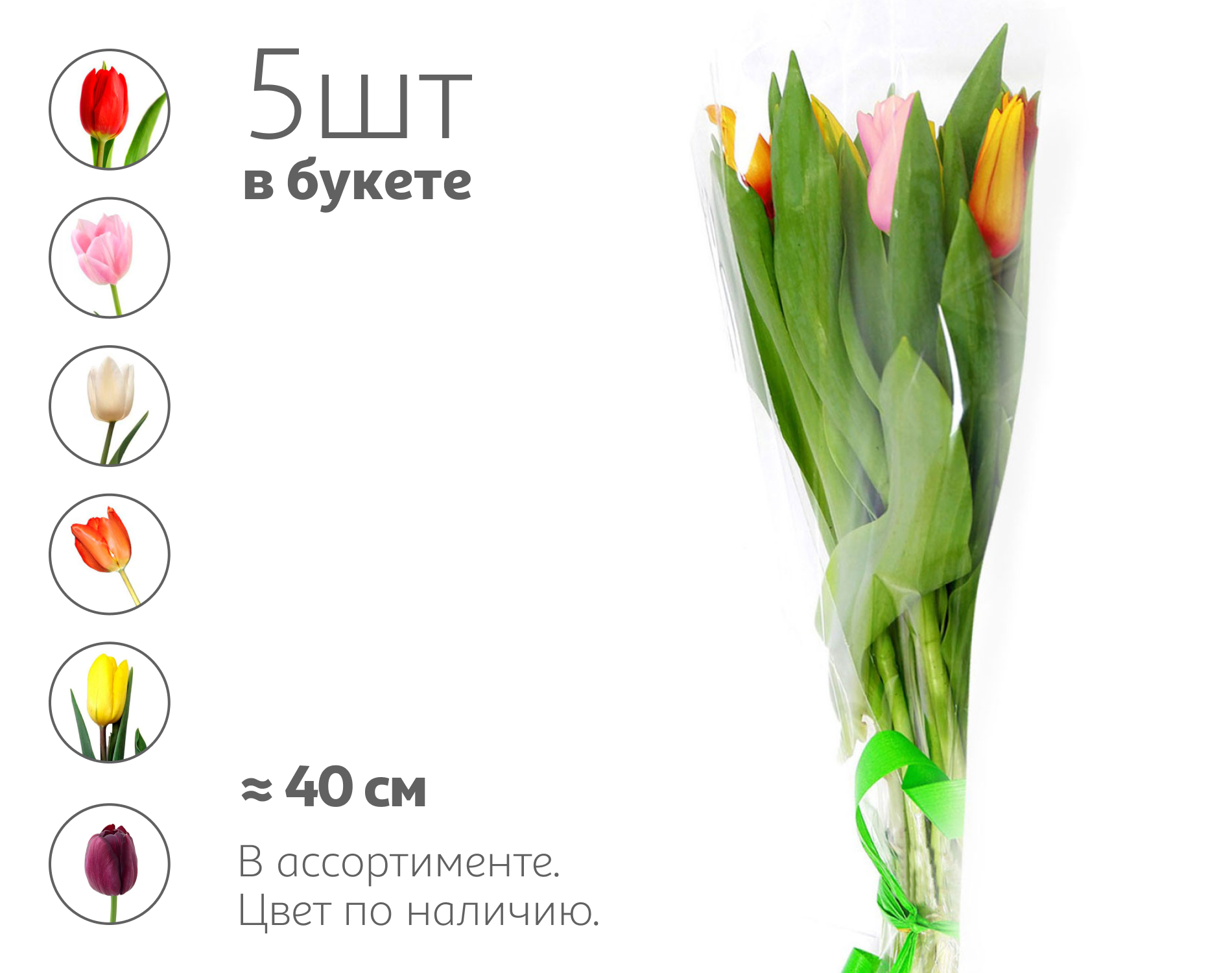 

Букет живых срезанных цветов из 5 тюльпанов в упаковке в ассортименте h 40 см, 1 шт