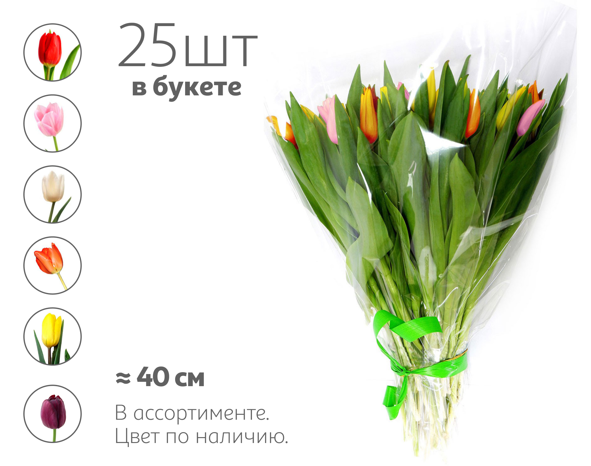 

Букет живых срезанных цветов из 25 тюльпанов в упаковке в ассортименте h 40 см, 1 шт