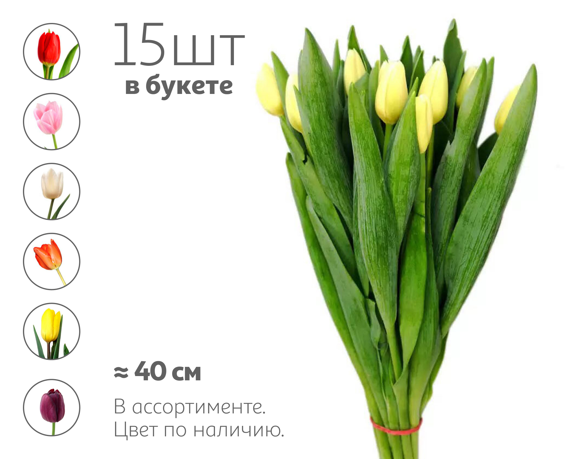 

Букет живых срезанных цветов из 15 тюльпанов в упаковке в ассортименте h 40 см, 1 шт