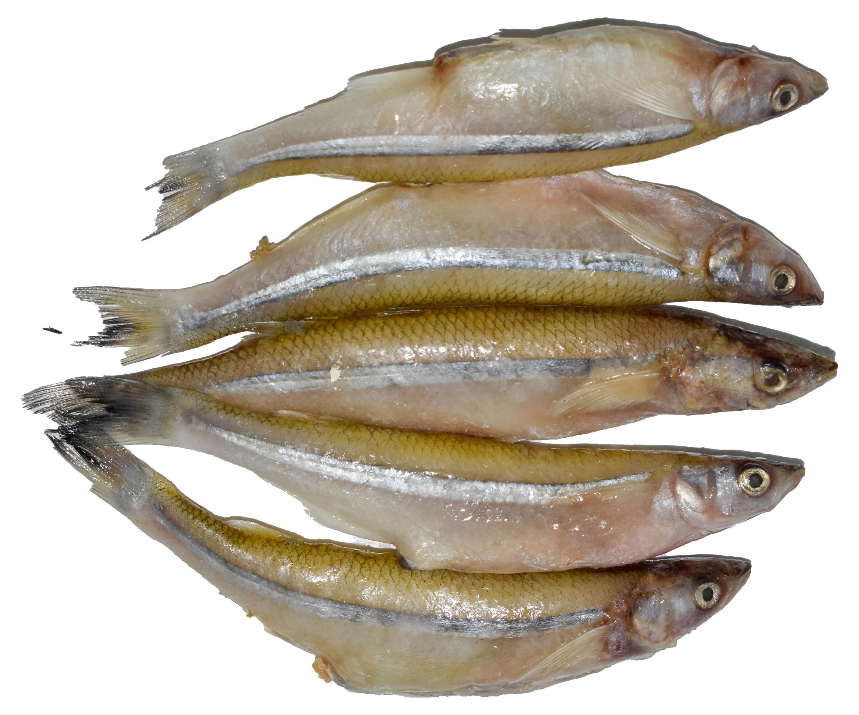 Изображение товара Корюшка замороженная «Фландерр» неразделанная Аргентина, вес