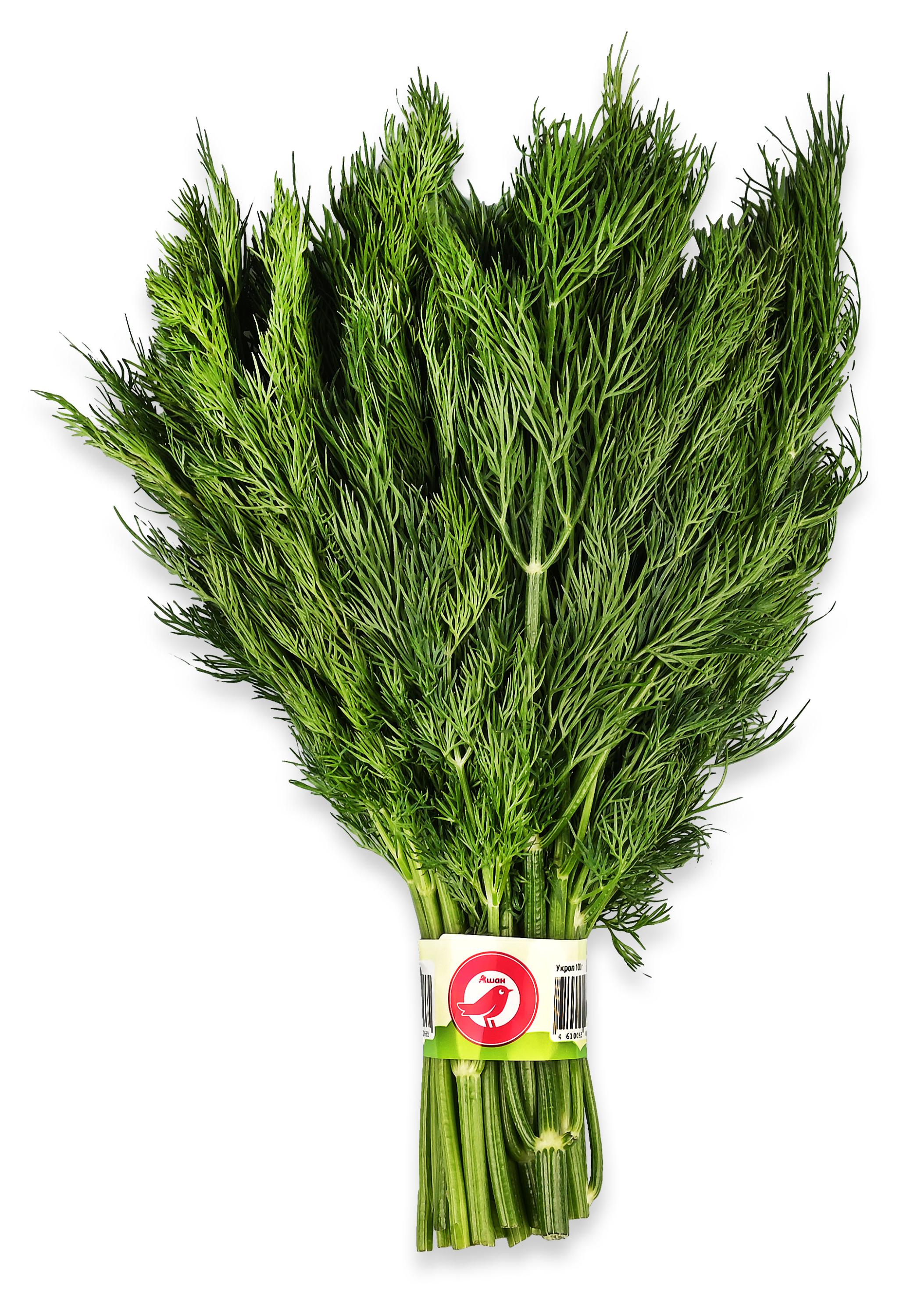 Изображение товара Укроп АШАН Красная птица пучок, 100 г