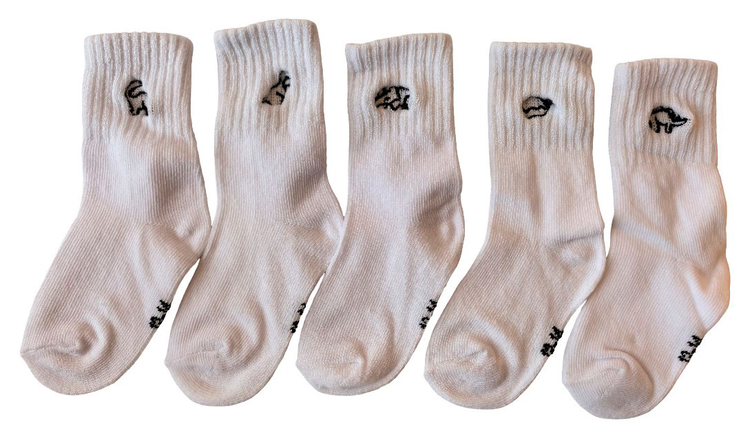 Изображение товара Носки InExtenso SOC0029 Белые, 12/13, 13/14 — 5 пар