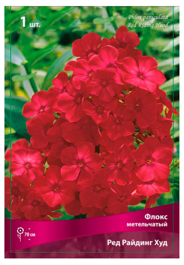 Изображение товара Флокс Флокс метельчатый Ред Райдинг Худ Яркий красно-малиновый куст 70-80 см