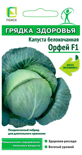 

Семена Поиск Капуста белокочанная Орфей, 0,2 г