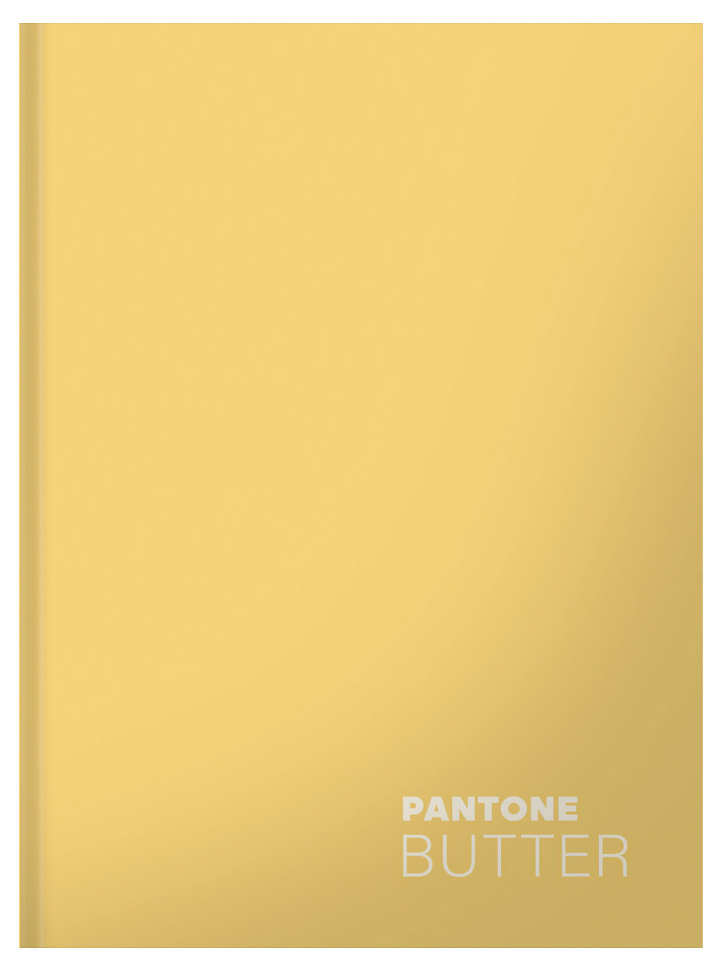 Изображение товара Тетрадь Listoff в клетку А5+, 96 л 1 шт в ассортименте