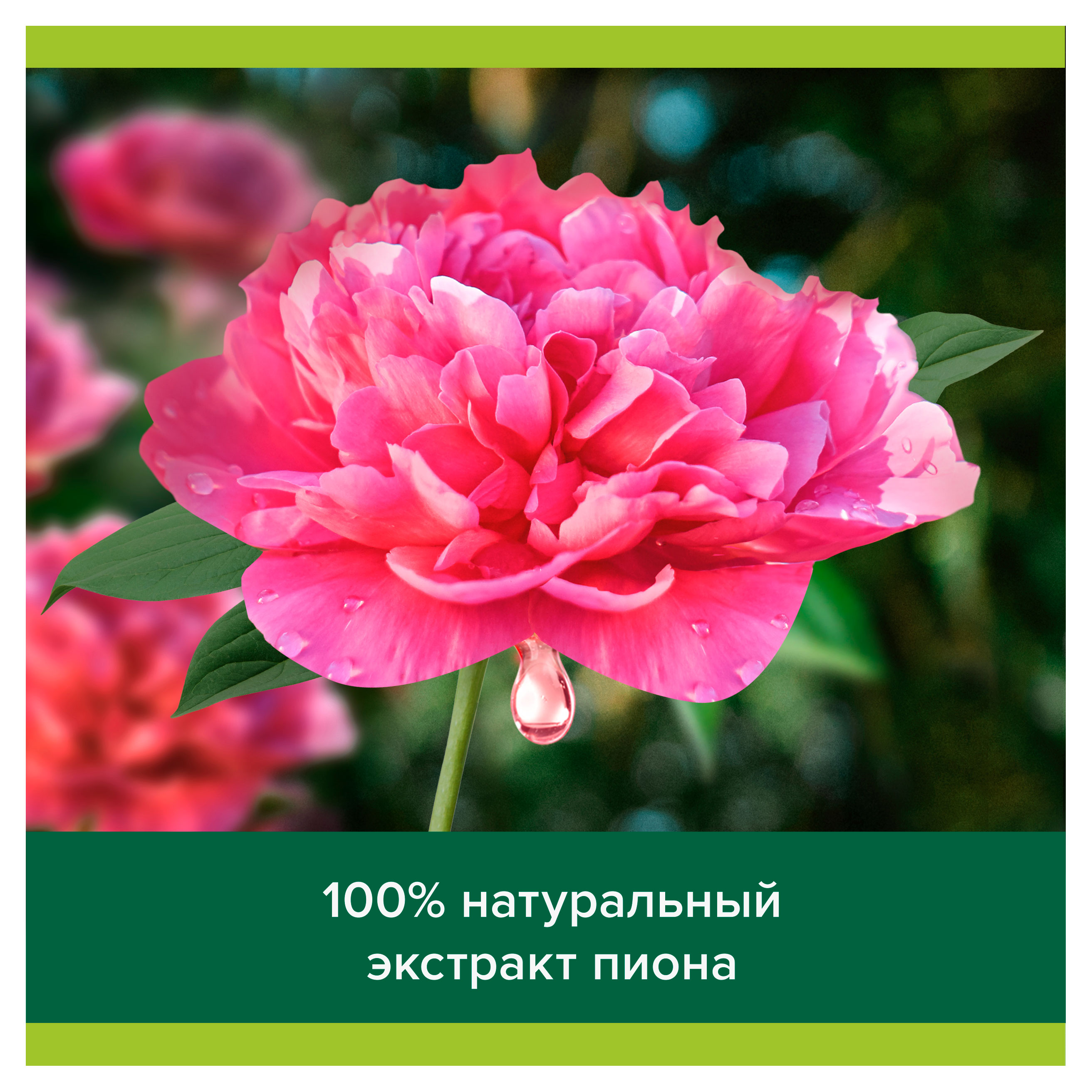 https://www.auchan.ru/files/original/37371408