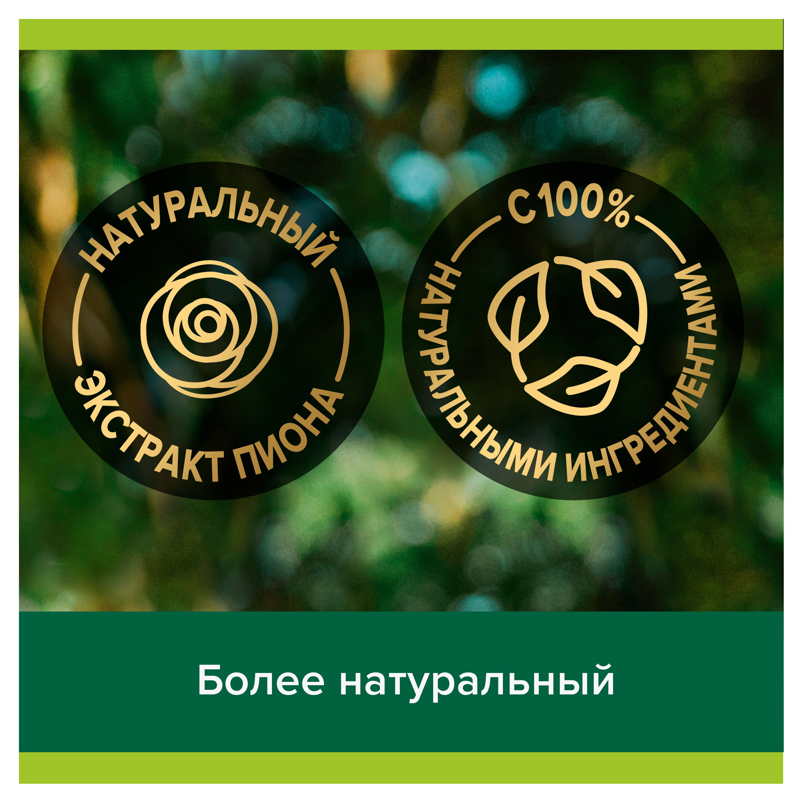 https://www.auchan.ru/files/original/37371432