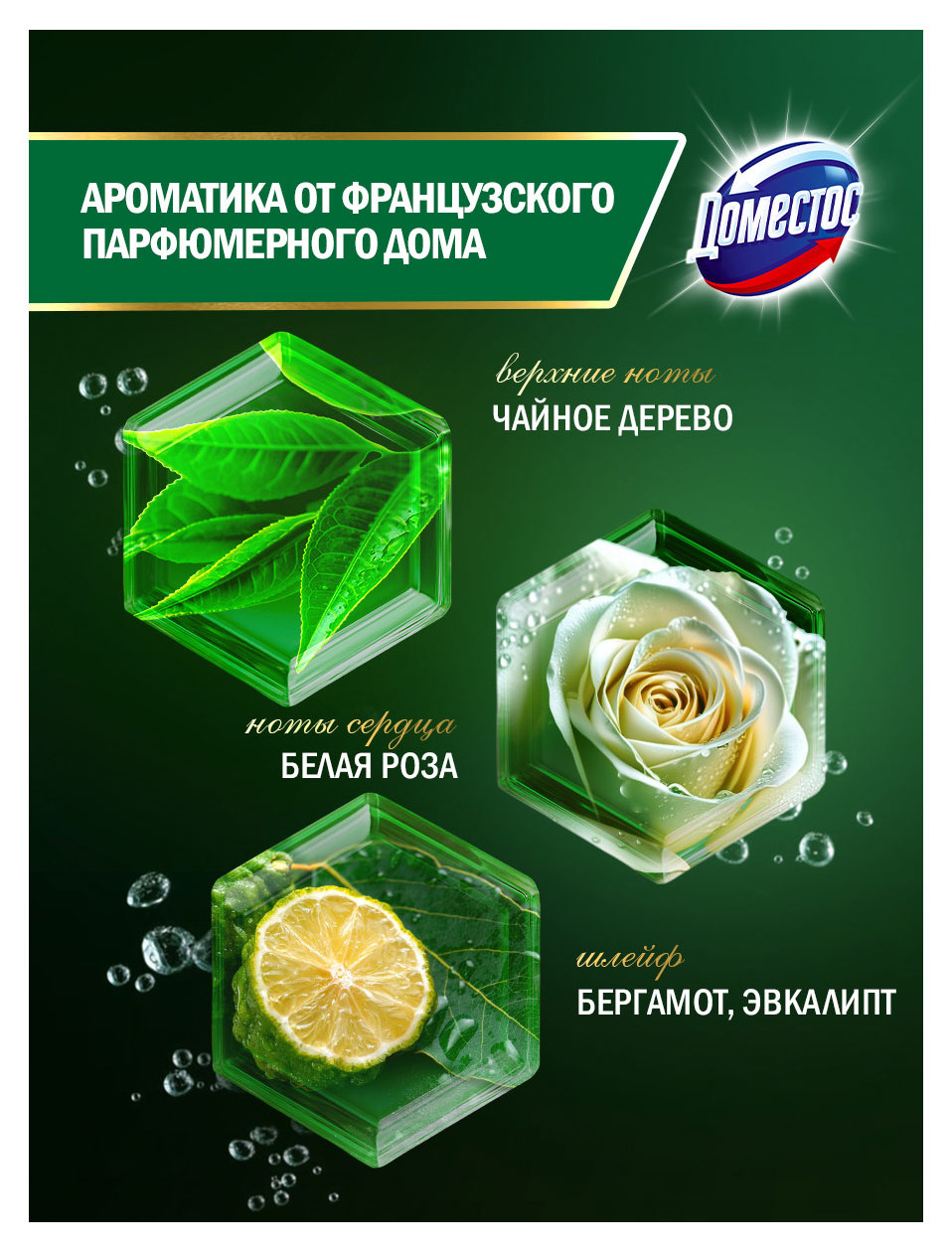 https://www.auchan.ru/files/original/37570077