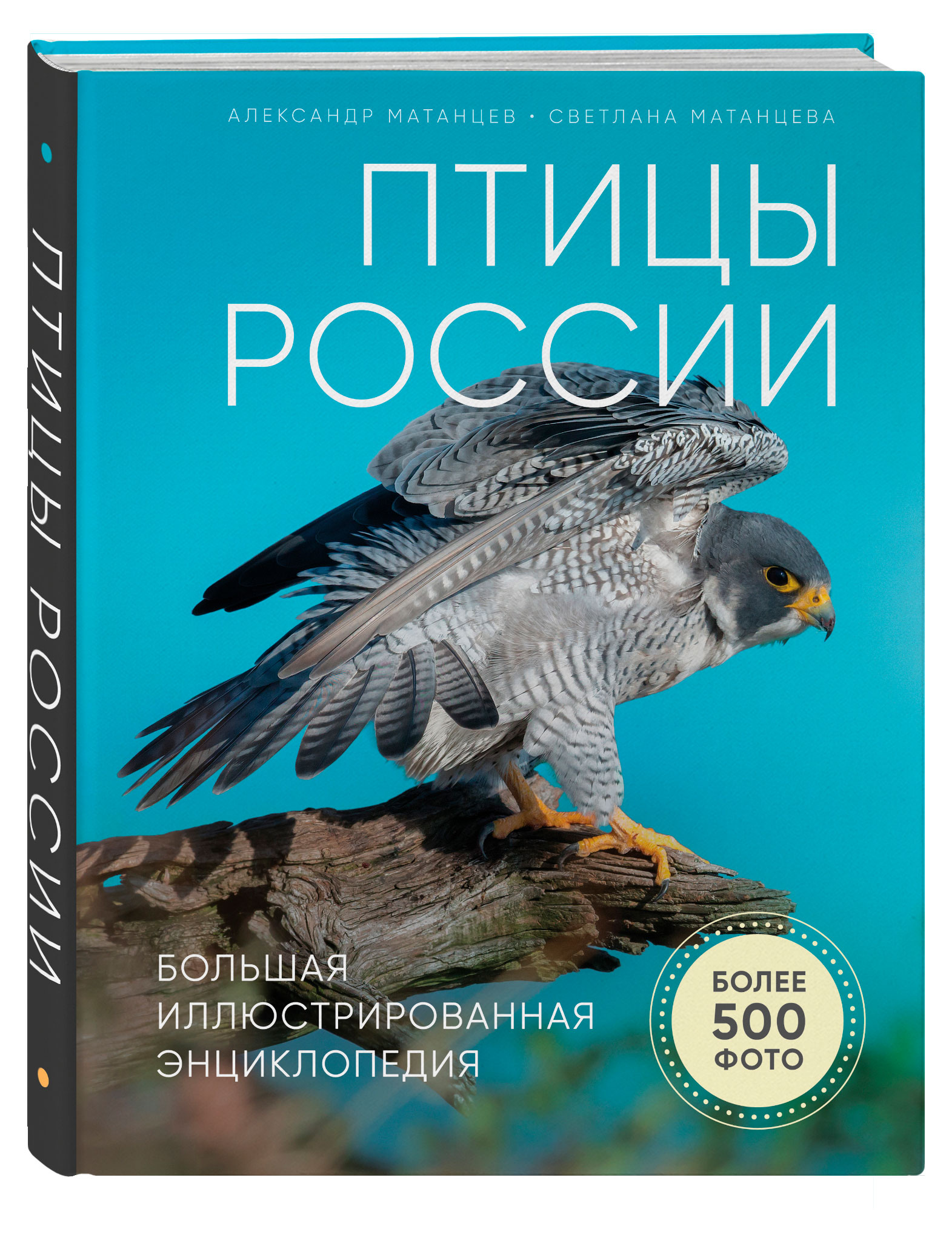 Птицы России. Большая иллюстрированная энциклопедия, Матанцев А.Н.
