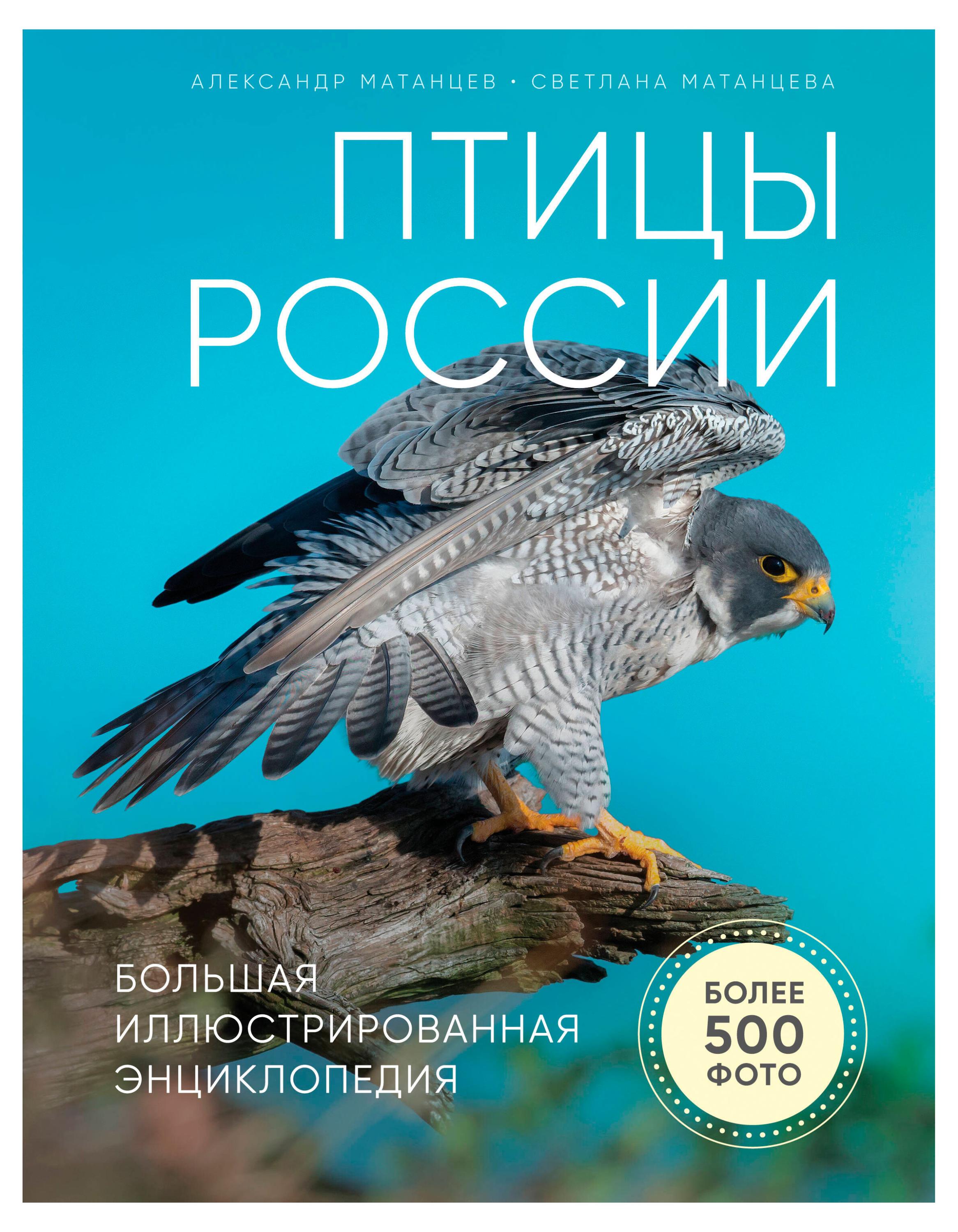 https://www.auchan.ru/files/original/37628178