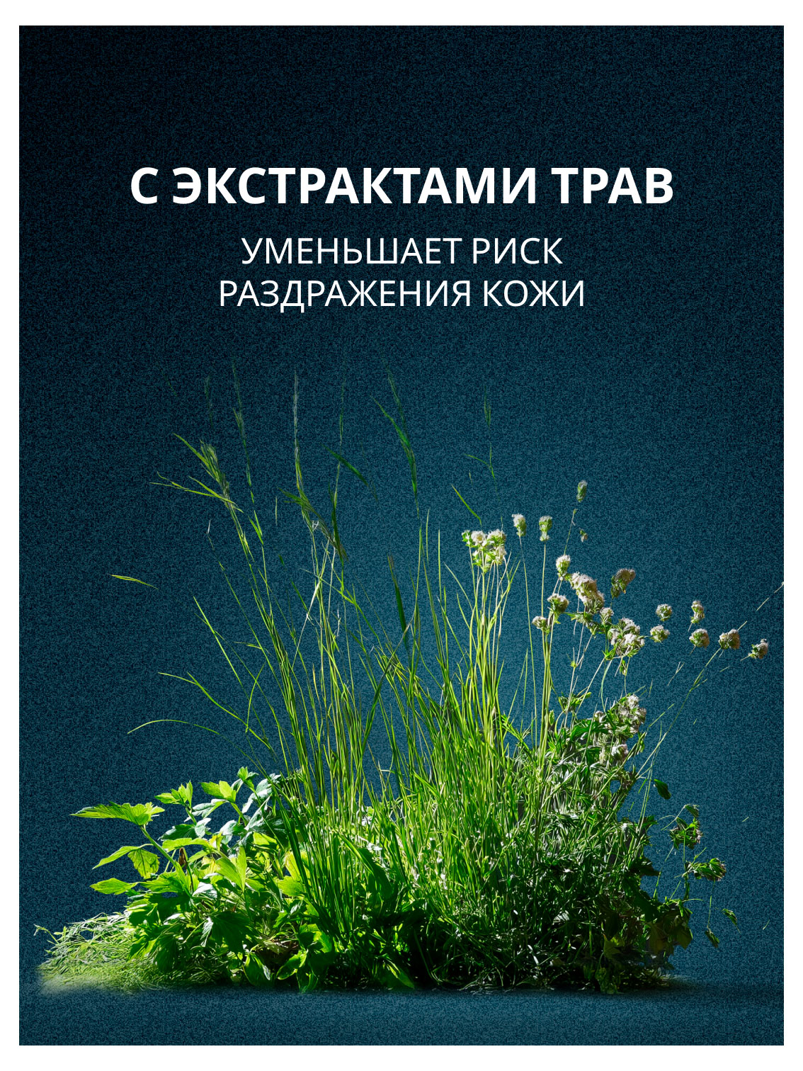 https://www.auchan.ru/files/original/37676287
