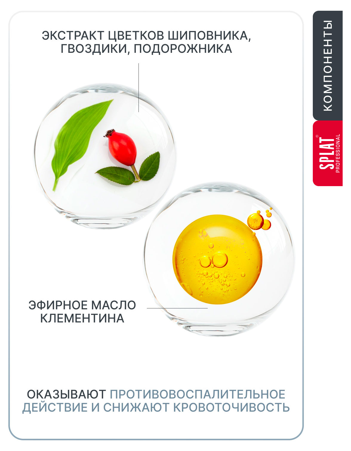 https://www.auchan.ru/files/original/37676518