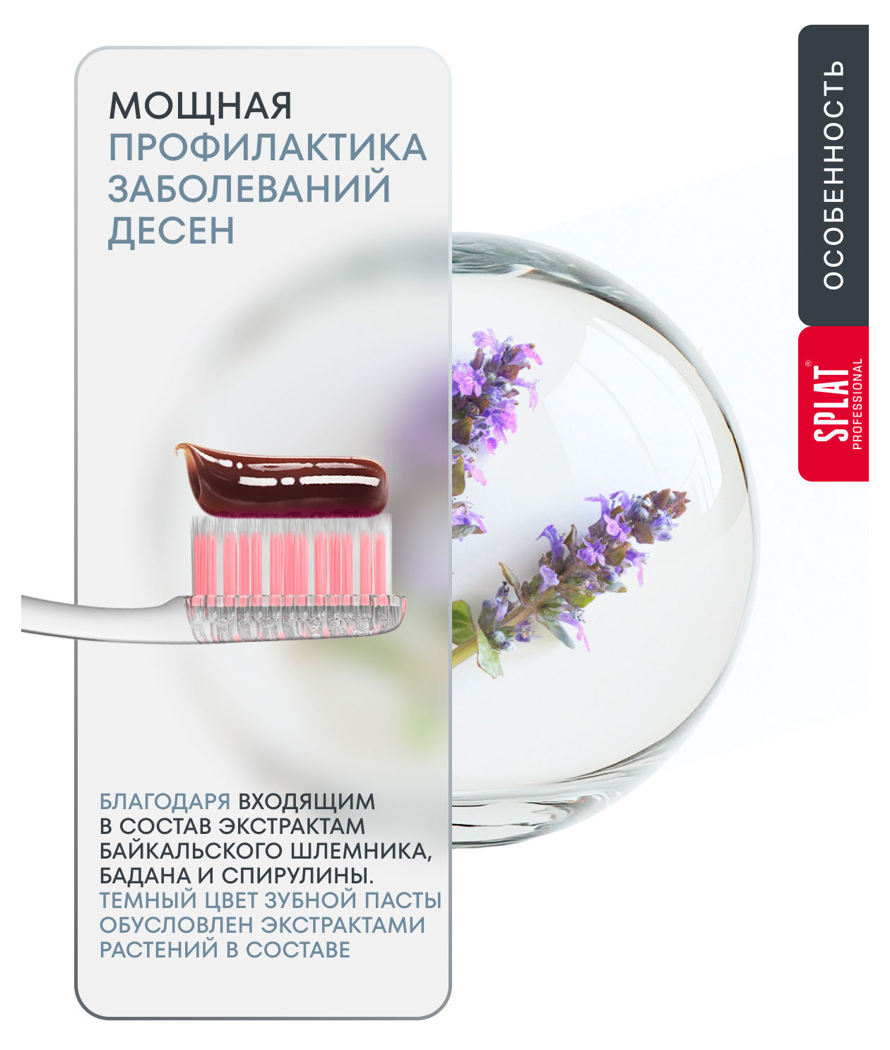 https://www.auchan.ru/files/original/37677244