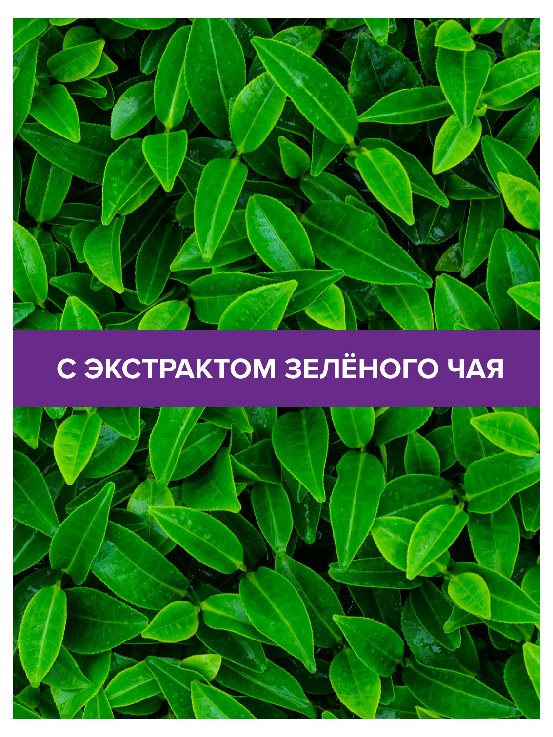 https://www.auchan.ru/files/original/37678177