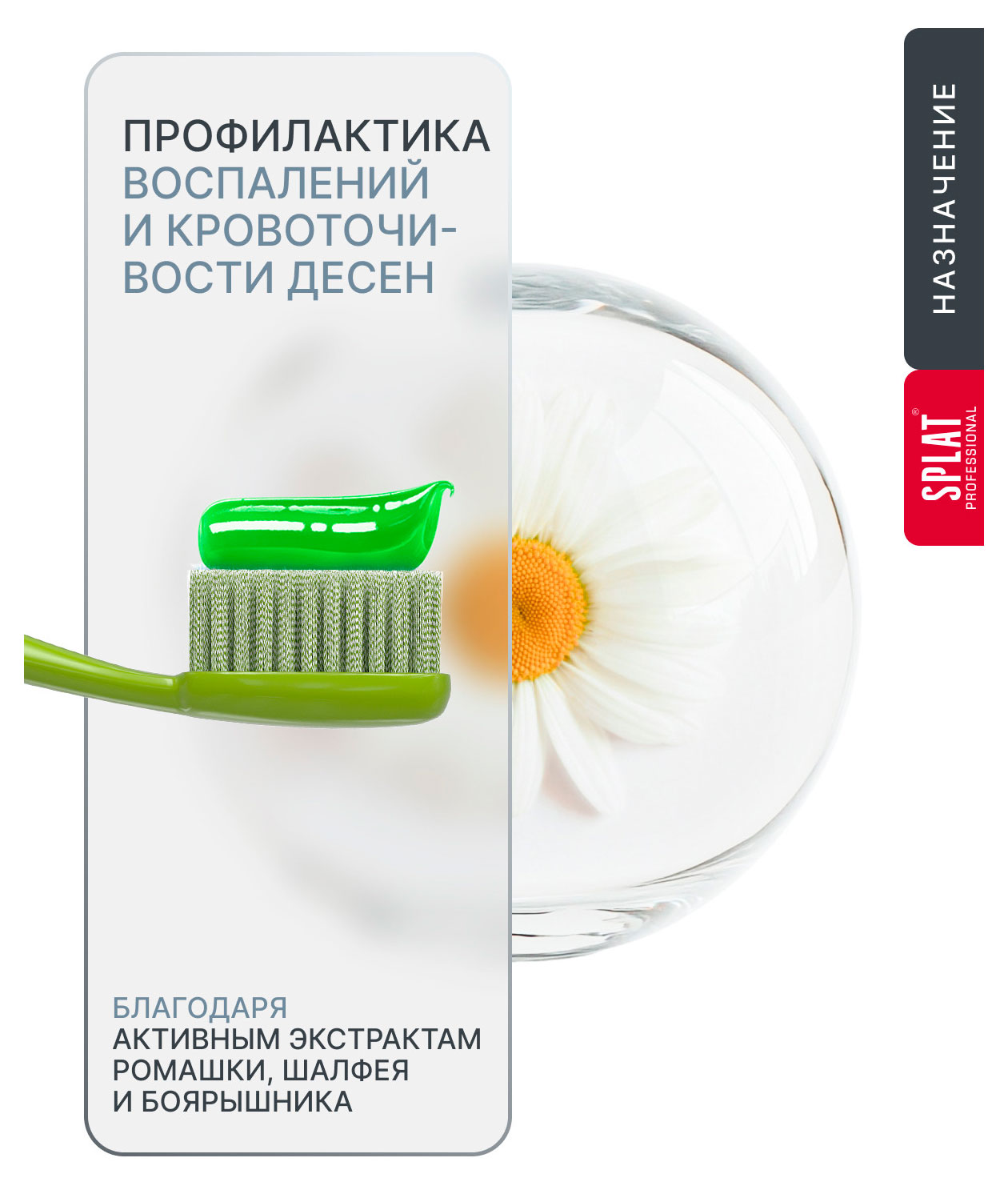 https://www.auchan.ru/files/original/37678423