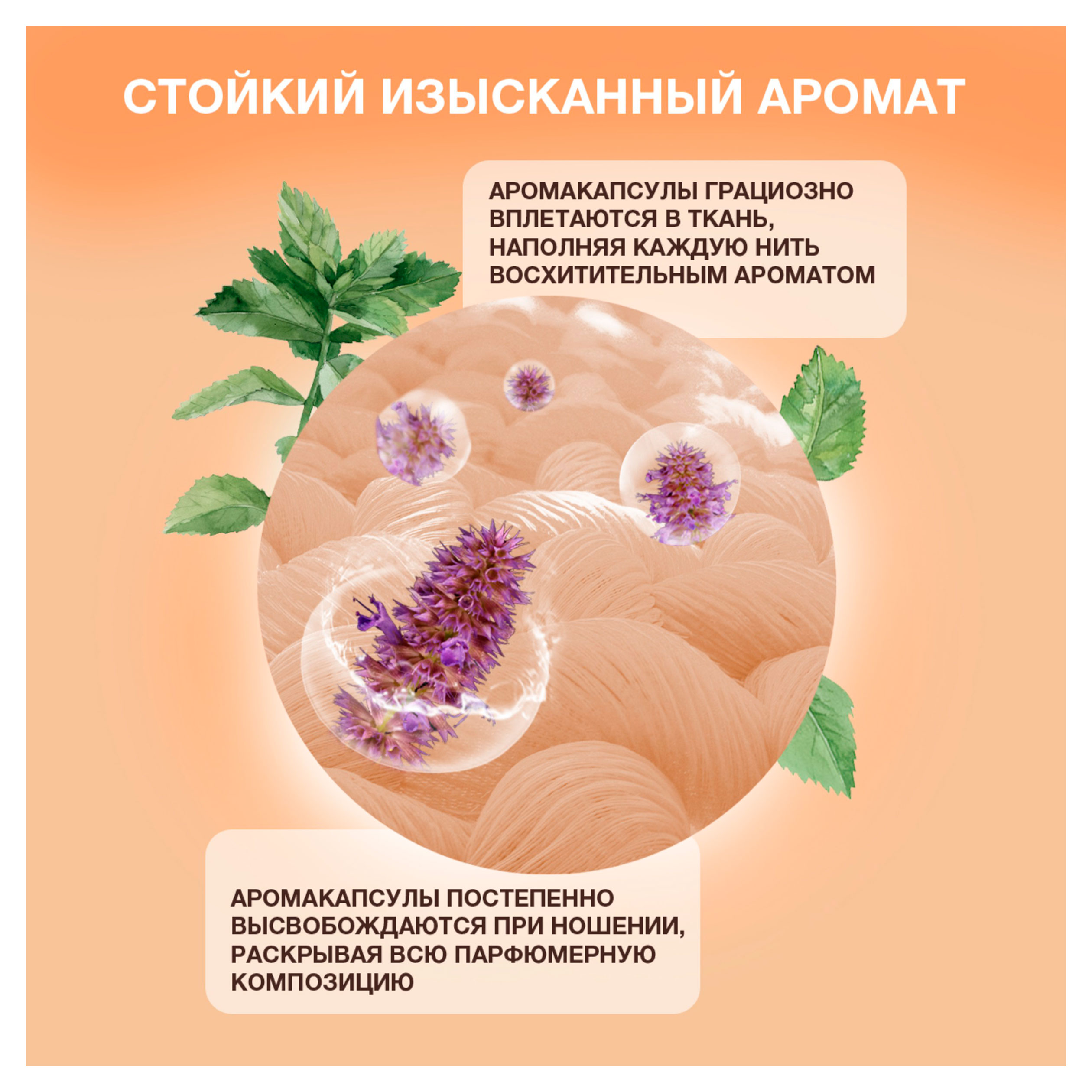 https://www.auchan.ru/files/original/37680007