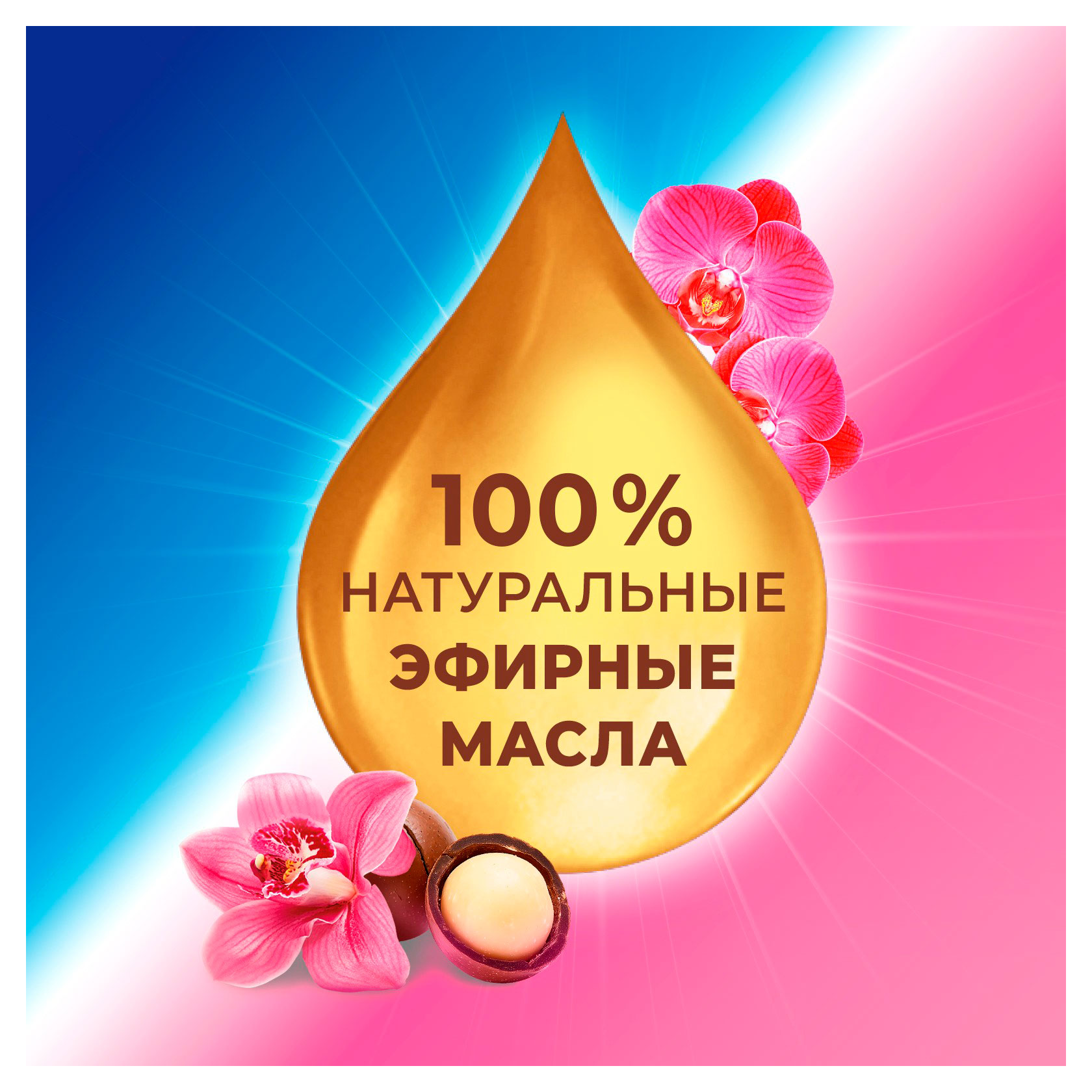 https://www.auchan.ru/files/original/37691620