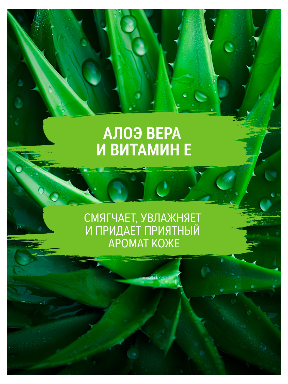 https://www.auchan.ru/files/original/37692640