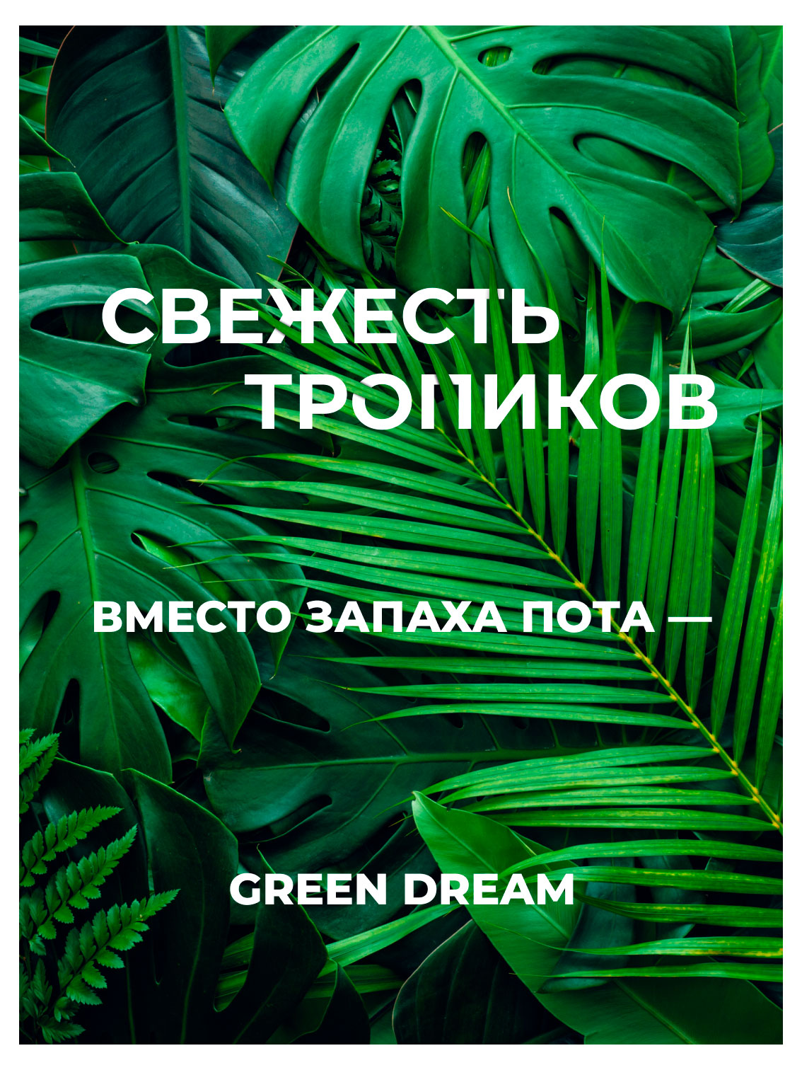 https://www.auchan.ru/files/original/37692991