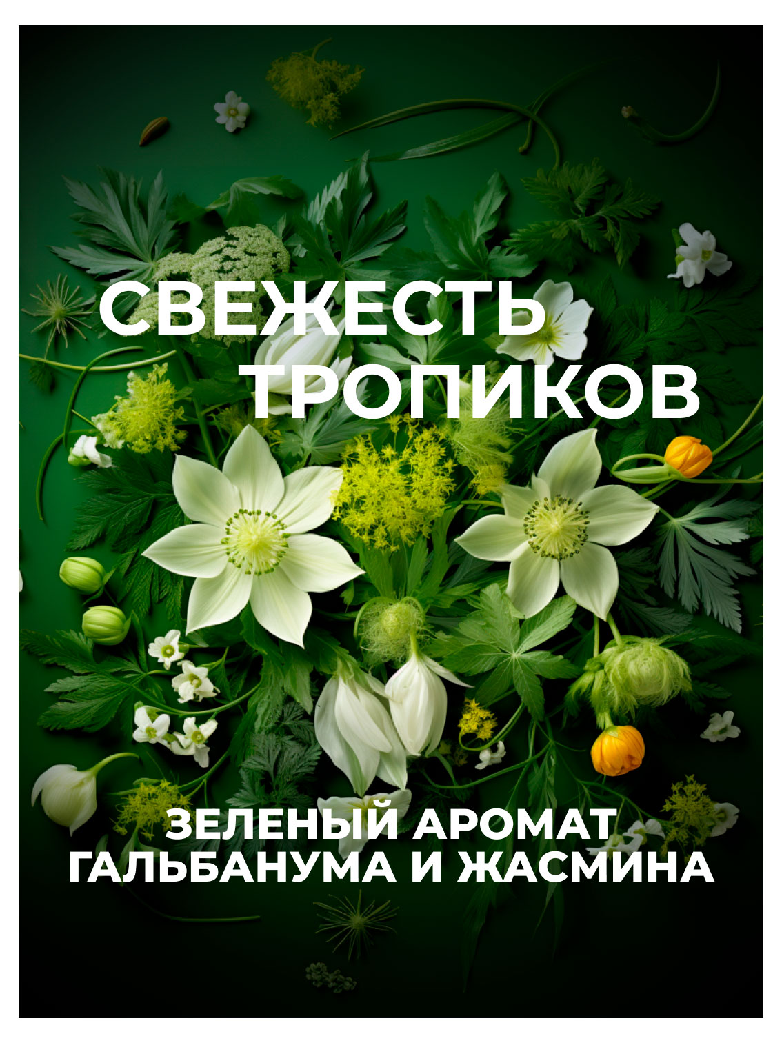 https://www.auchan.ru/files/original/37693000