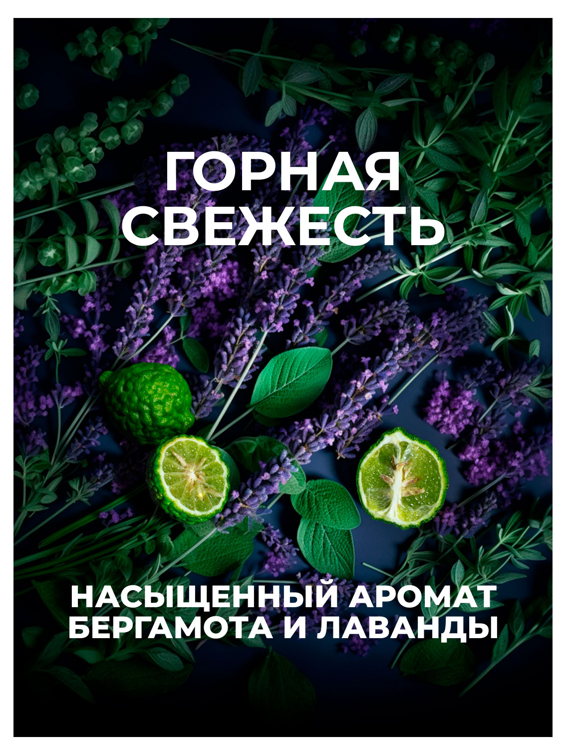 https://www.auchan.ru/files/original/37693999