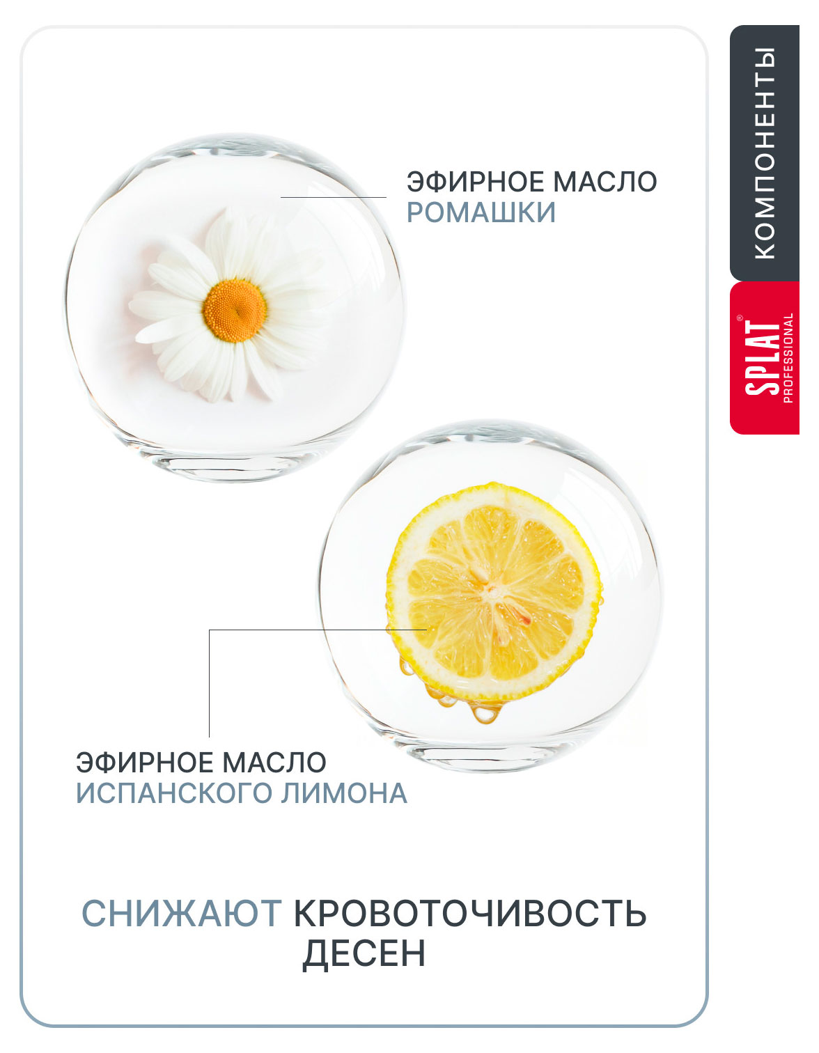 https://www.auchan.ru/files/original/37694782