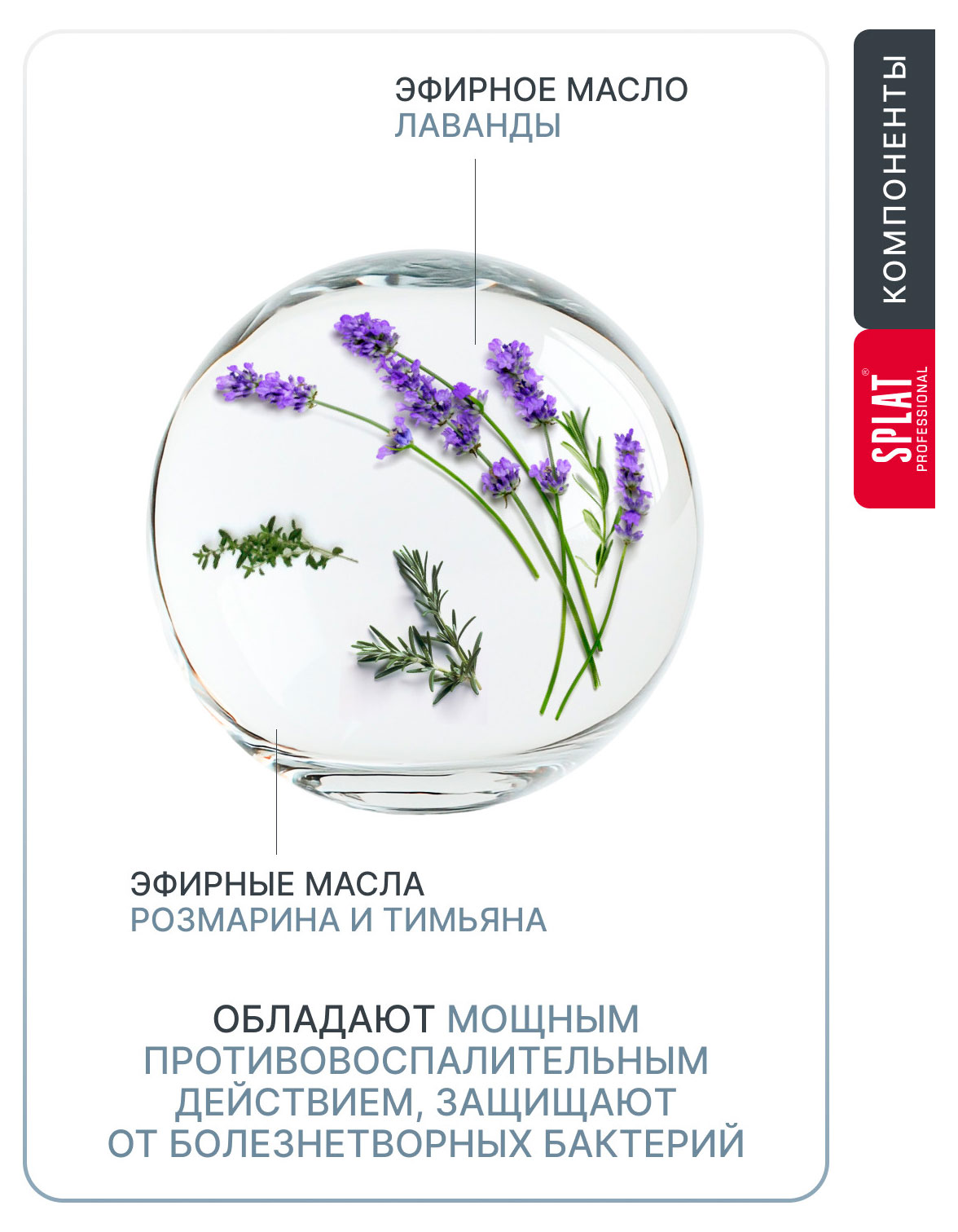 https://www.auchan.ru/files/original/37695655
