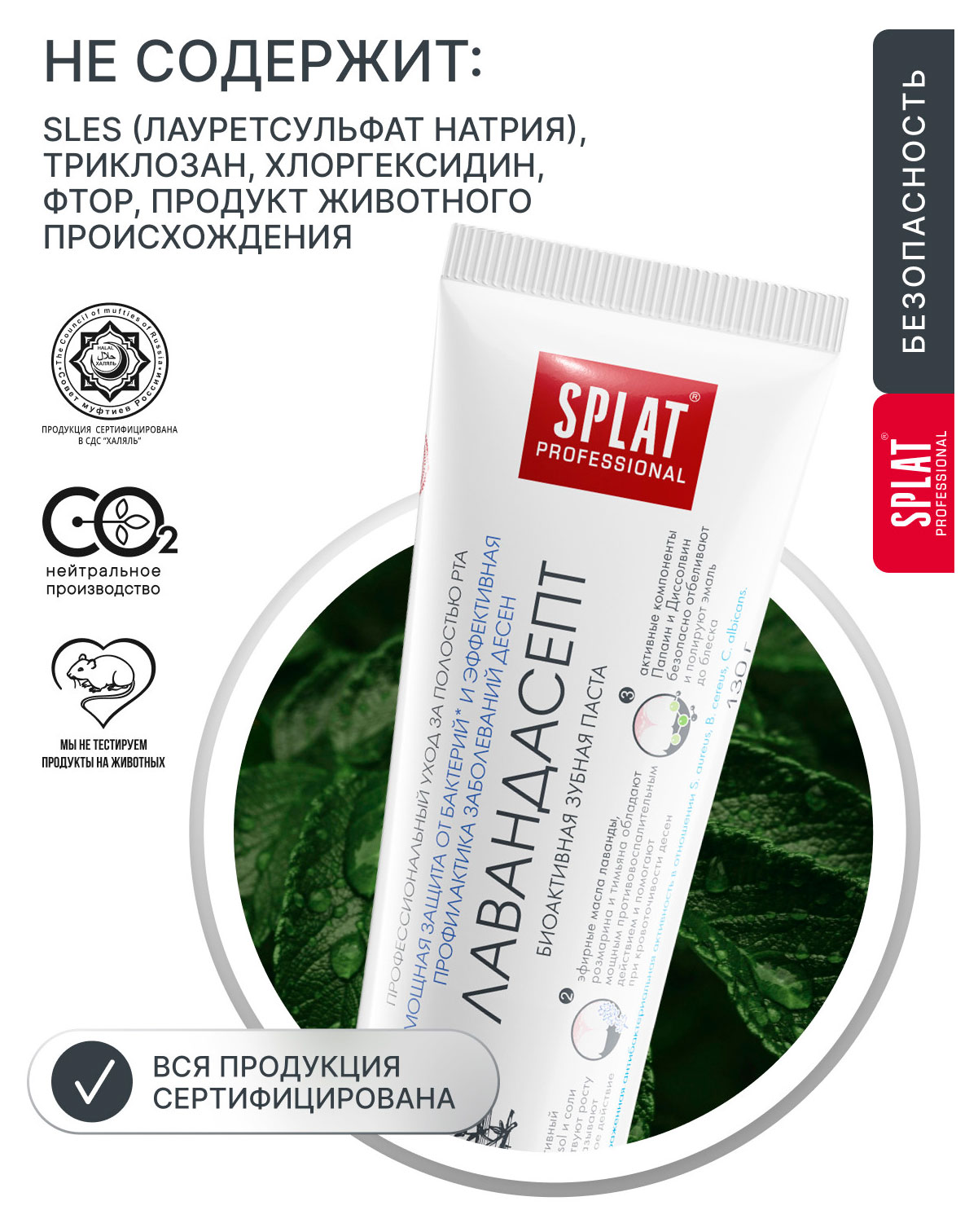 https://www.auchan.ru/files/original/37695667