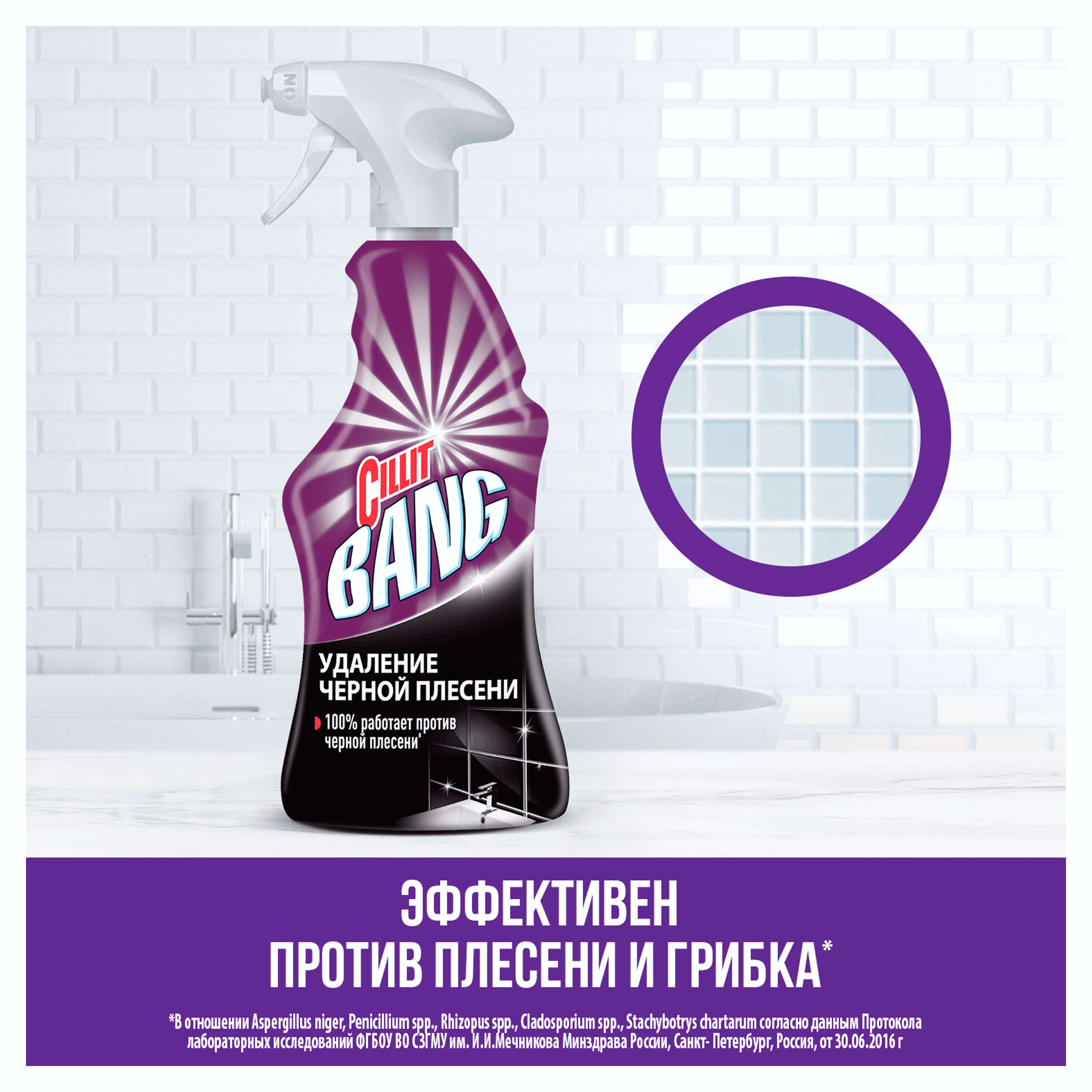 https://www.auchan.ru/files/original/37737193