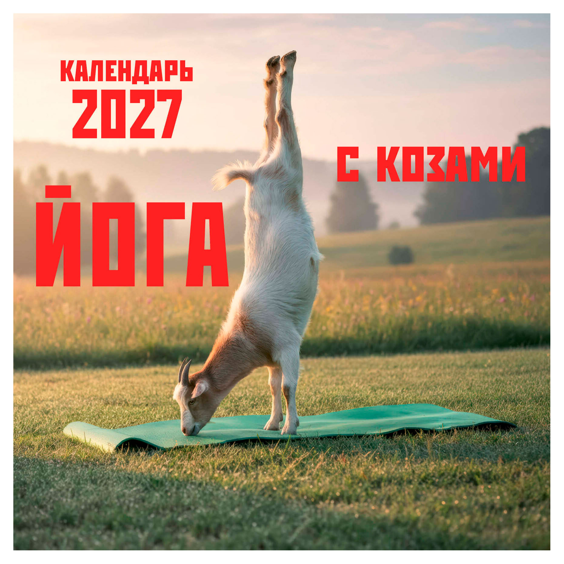 Изображение товара Календарь настенный «Эксмо» Йога с козами на 2027 год, 300х300 мм
